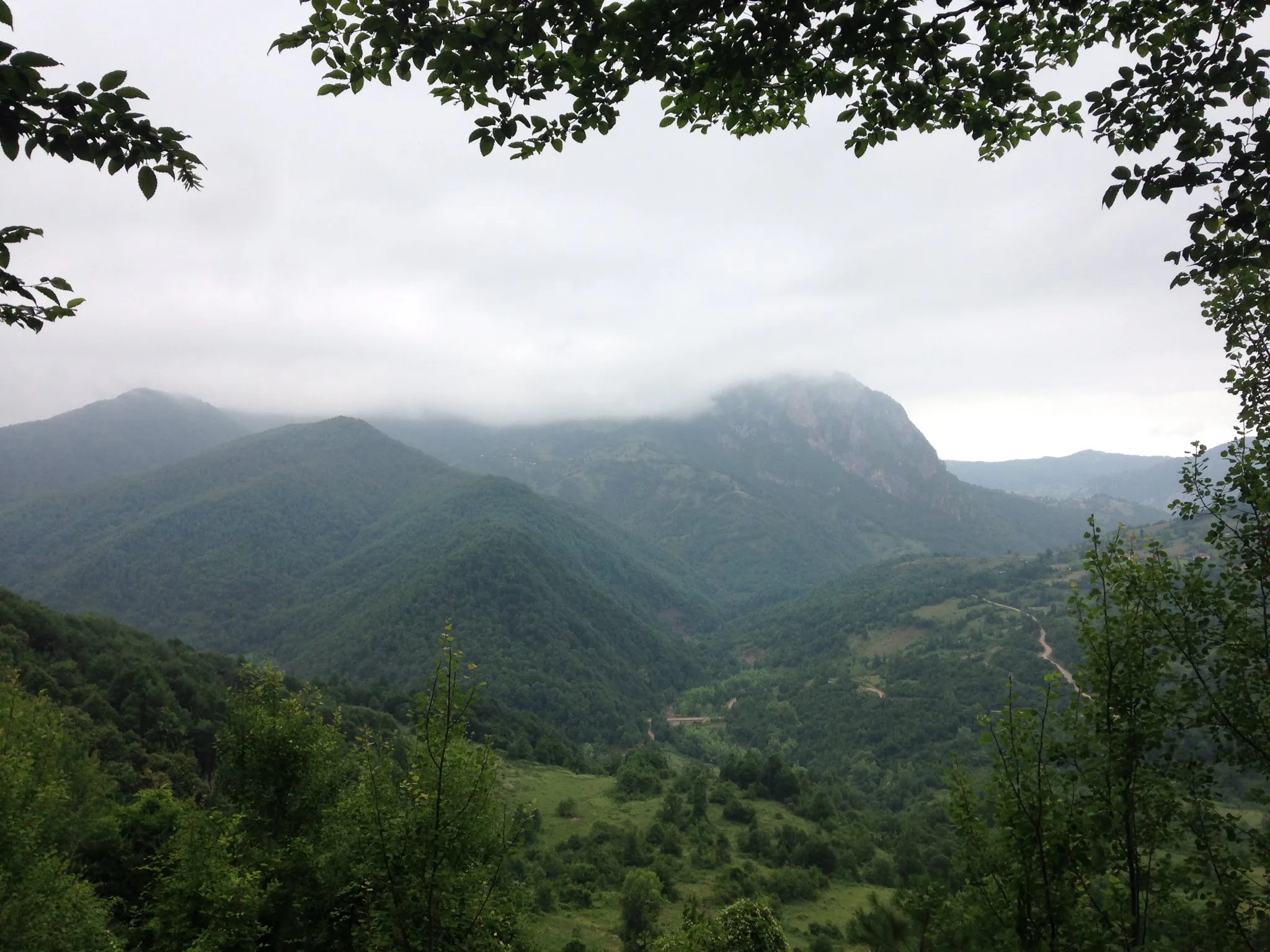 Photo showing: Küre Dağları Milli Parkı
Menük Köyü
Cide

Kastamonu