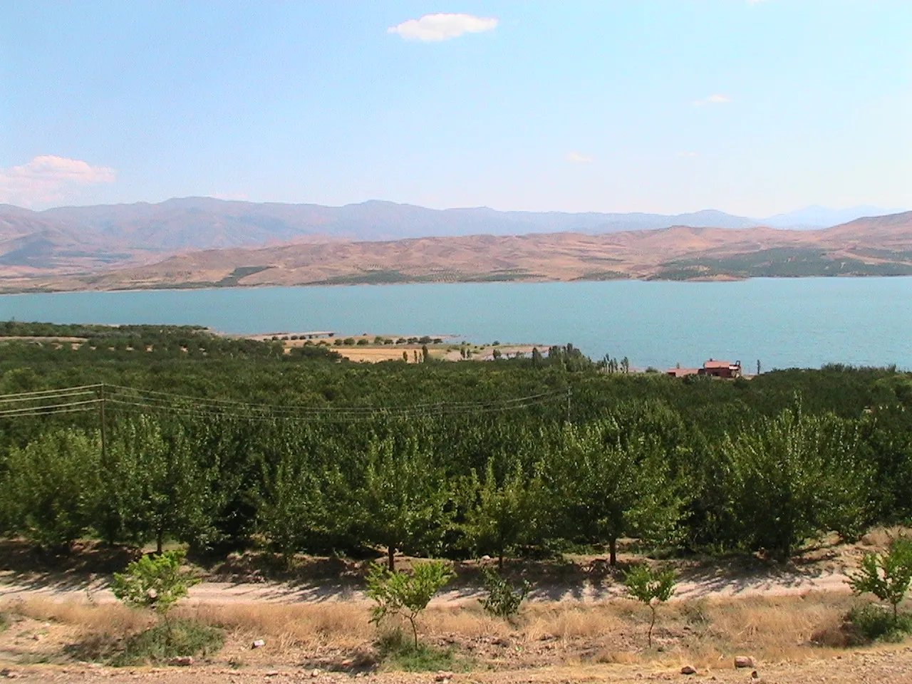 Image of Malatya, Elazığ, Bingöl, Tunceli