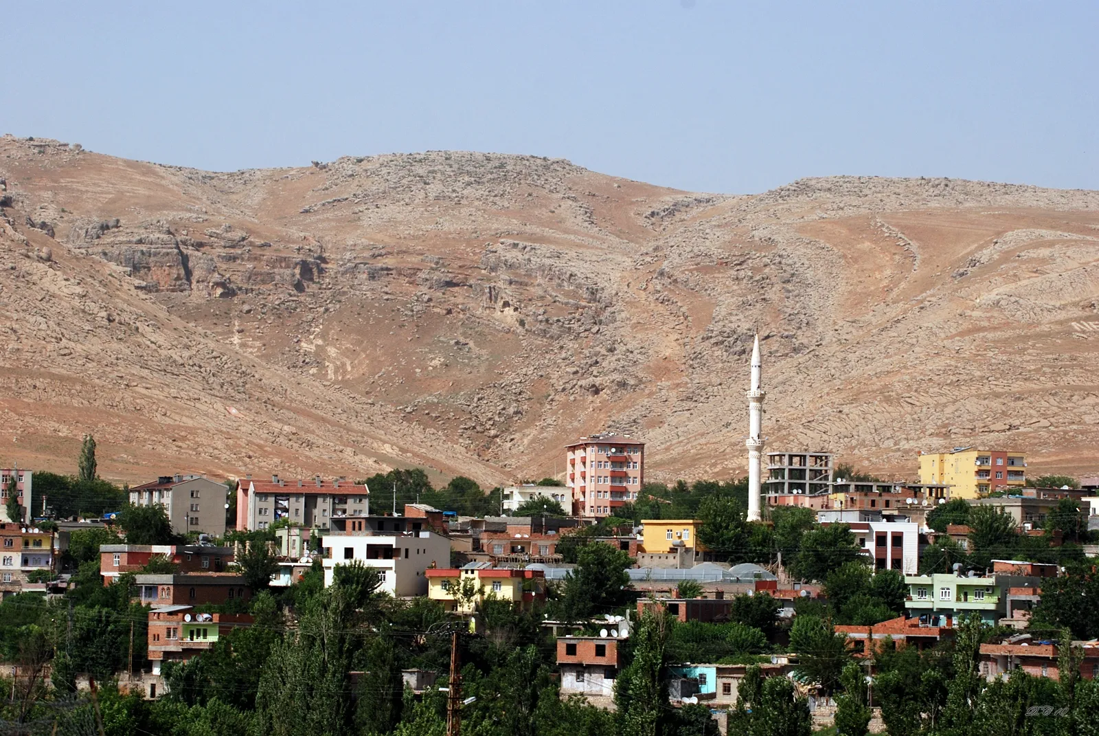 Photo showing: Di 23.06.2010 de ji aliyê min ve ji Dibistana Razane hatiye kişandin.