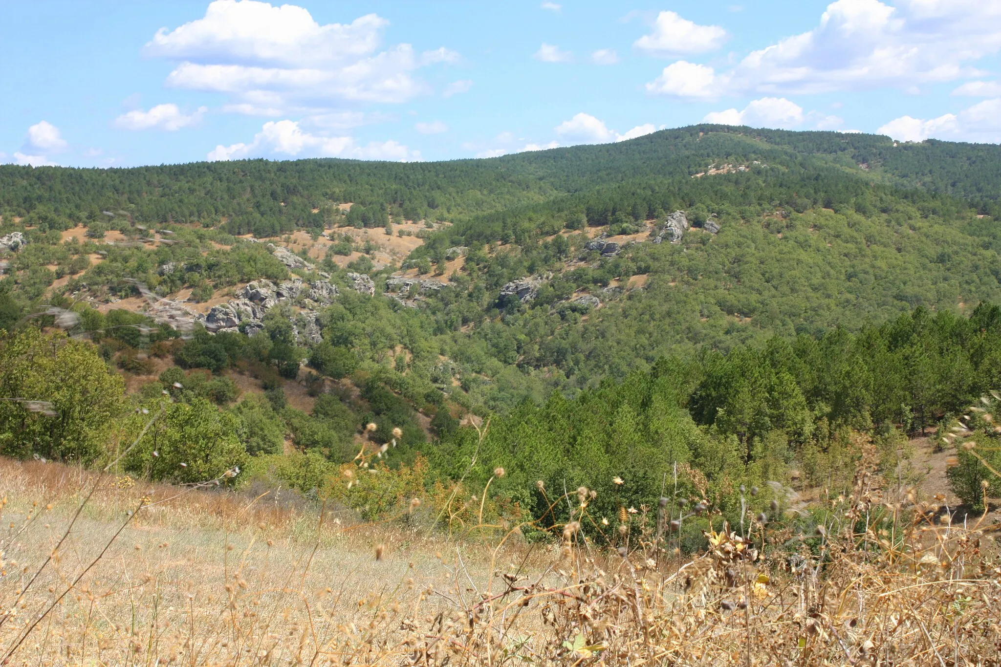 Image of Tekirdağ, Edirne, Kırklareli