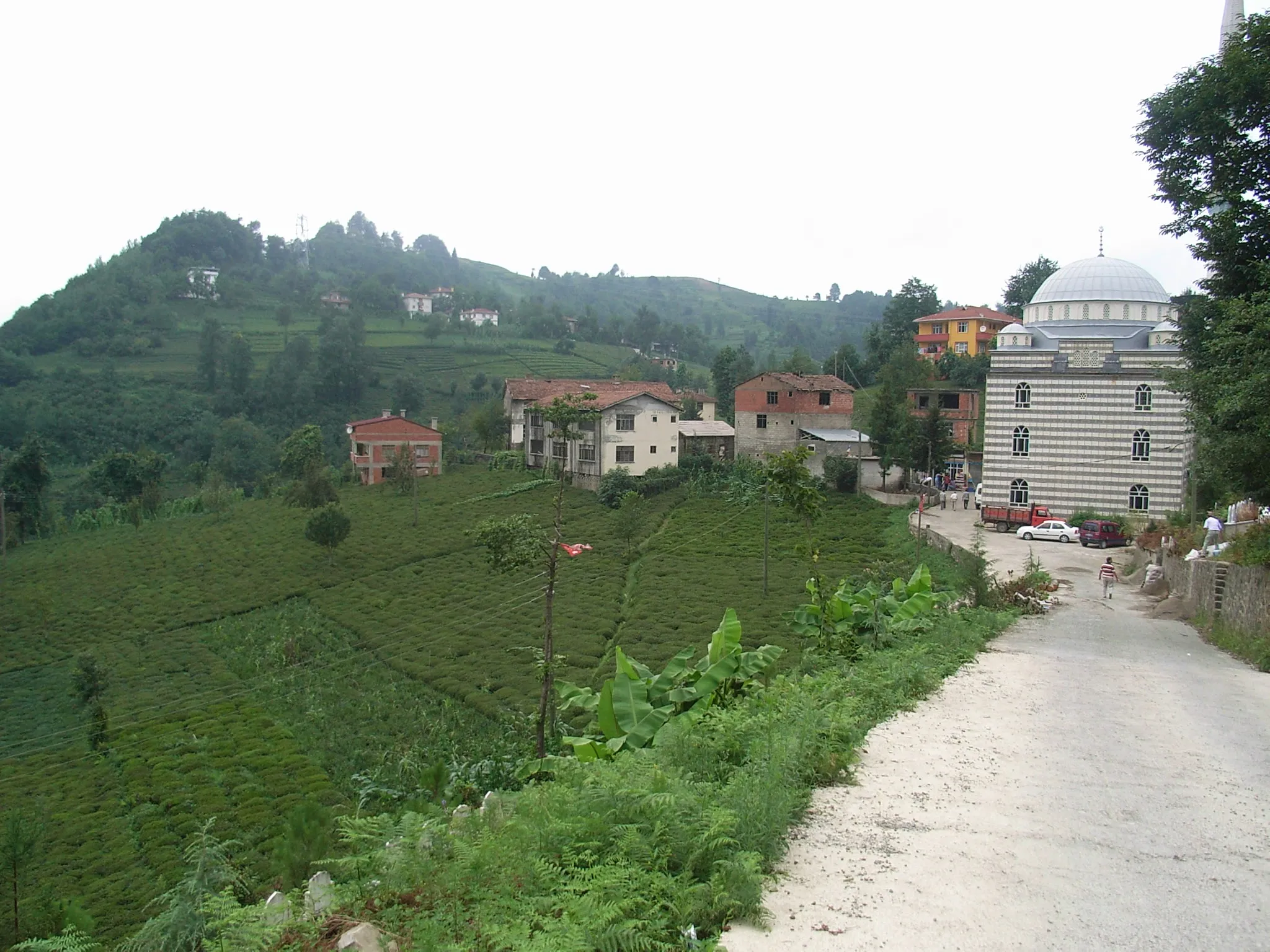 Image of Trabzon, Ordu, Giresun, Rize, Artvin, Gümüşhane