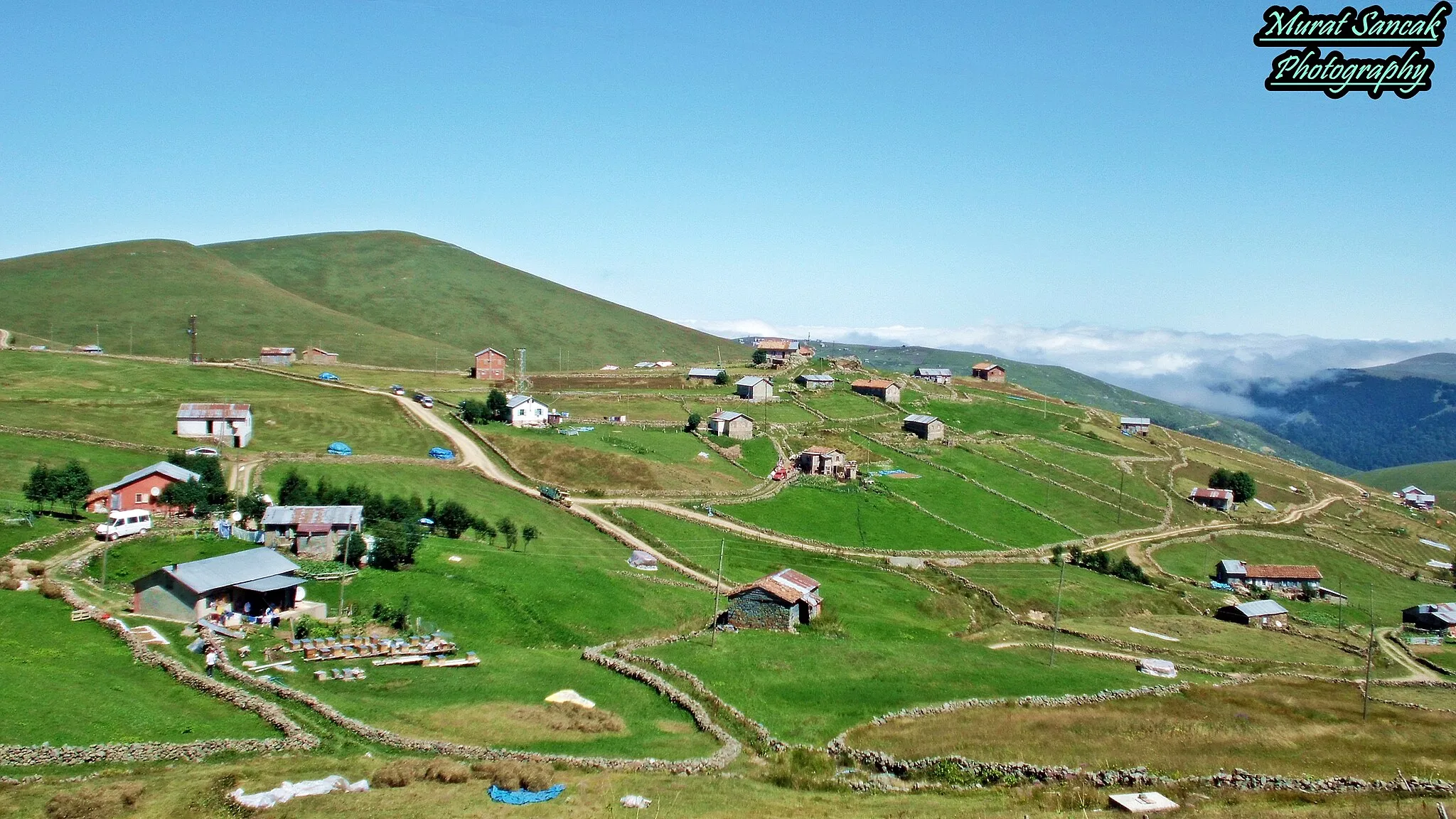 Image of Trabzon, Ordu, Giresun, Rize, Artvin, Gümüşhane