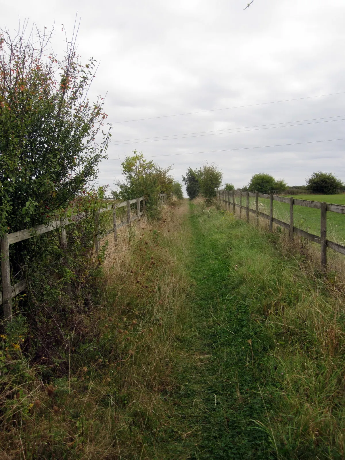 Photo showing: Bridleway to Red Gate Farm