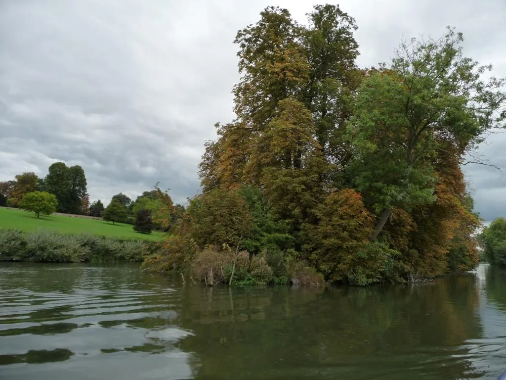 Photo showing: Autumn colours, Phillimore's Island