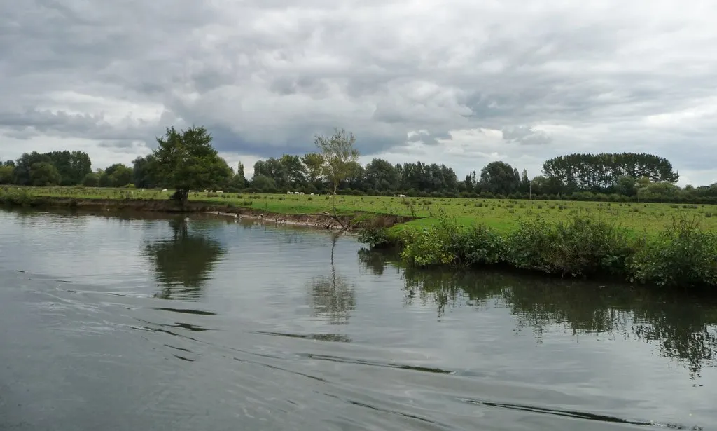 Photo showing: Berkshire bank of the Thames