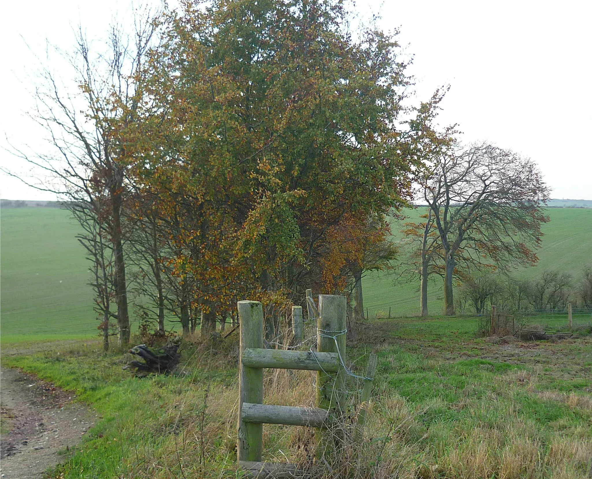 Photo showing: Arable landscape with trees