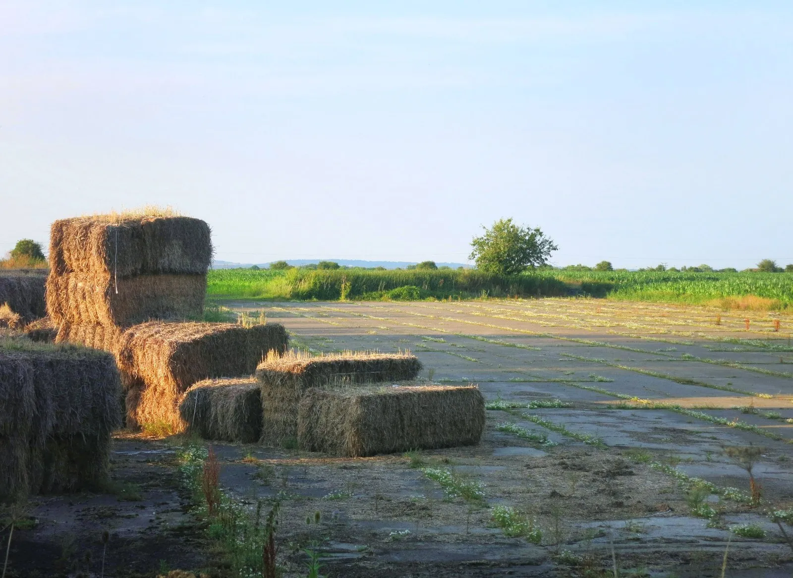 Photo showing: Bales on the Runway