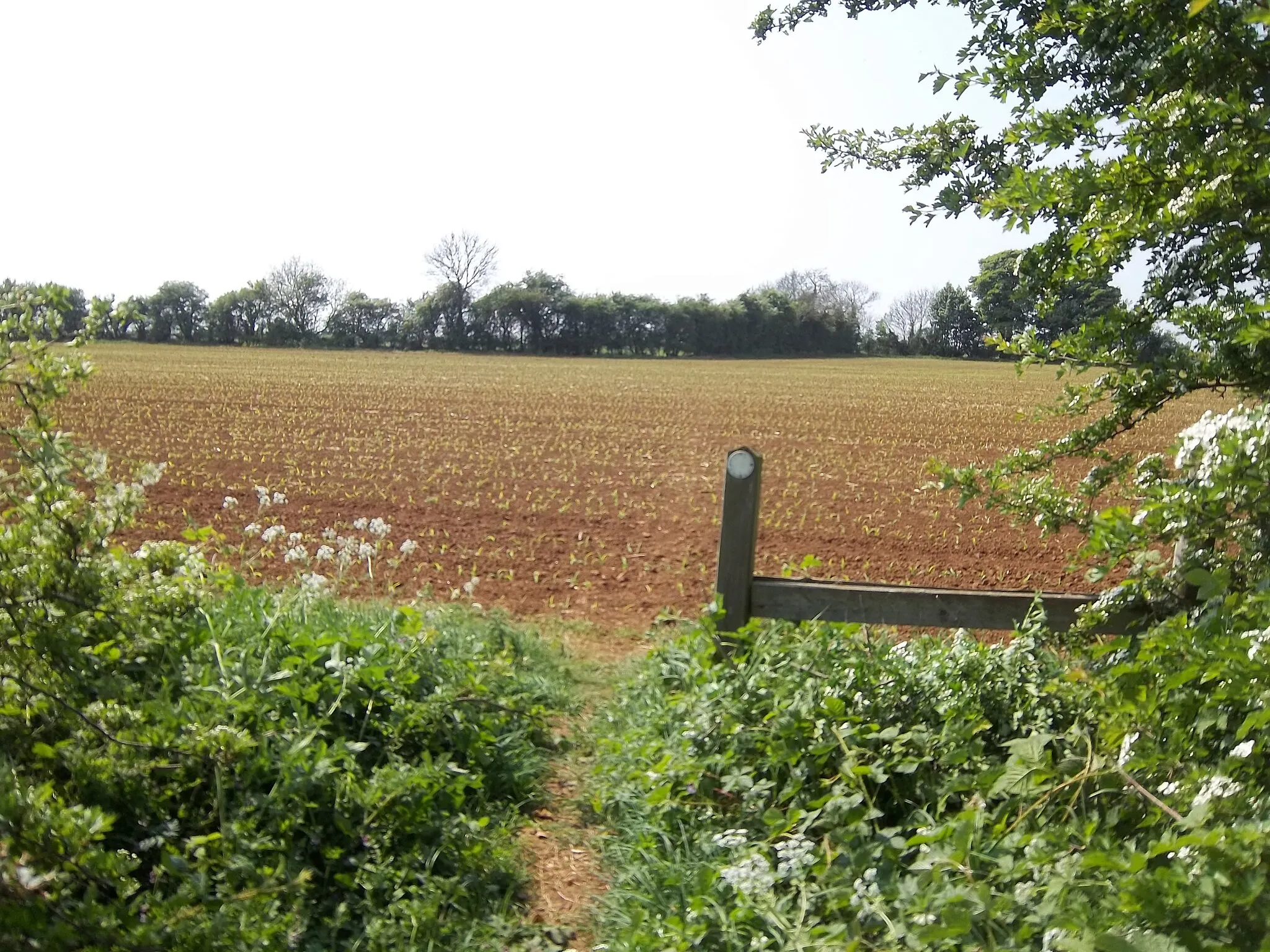 Photo showing: Across the field