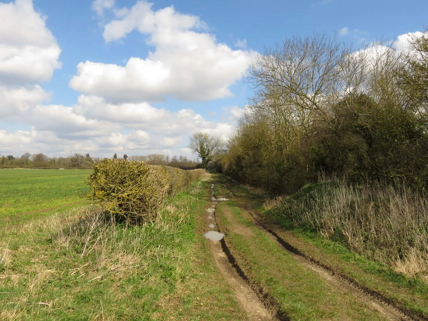 Image of Berkshire, Buckinghamshire and Oxfordshire