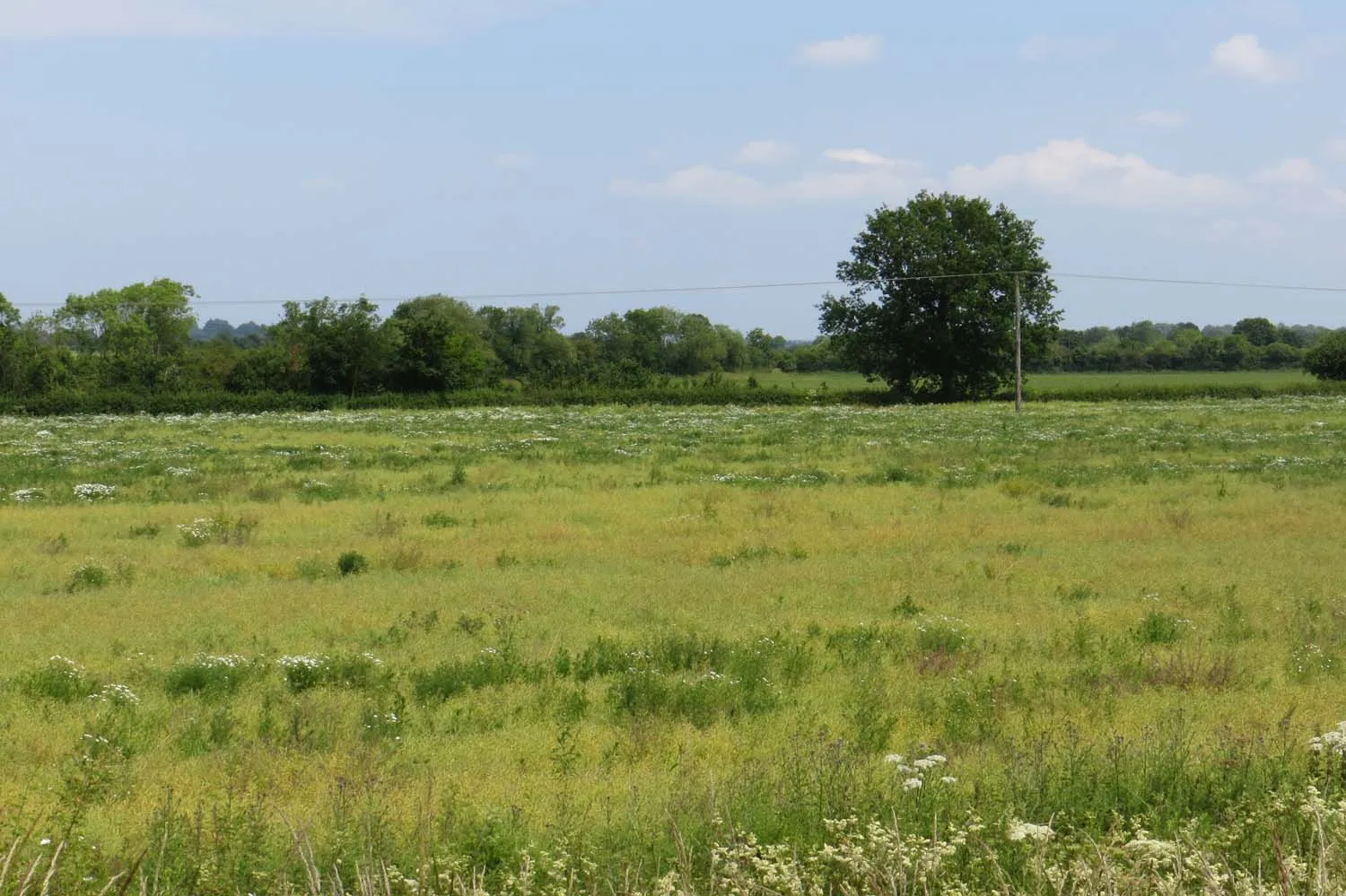 Photo showing: Arable field near Steeple Claydon