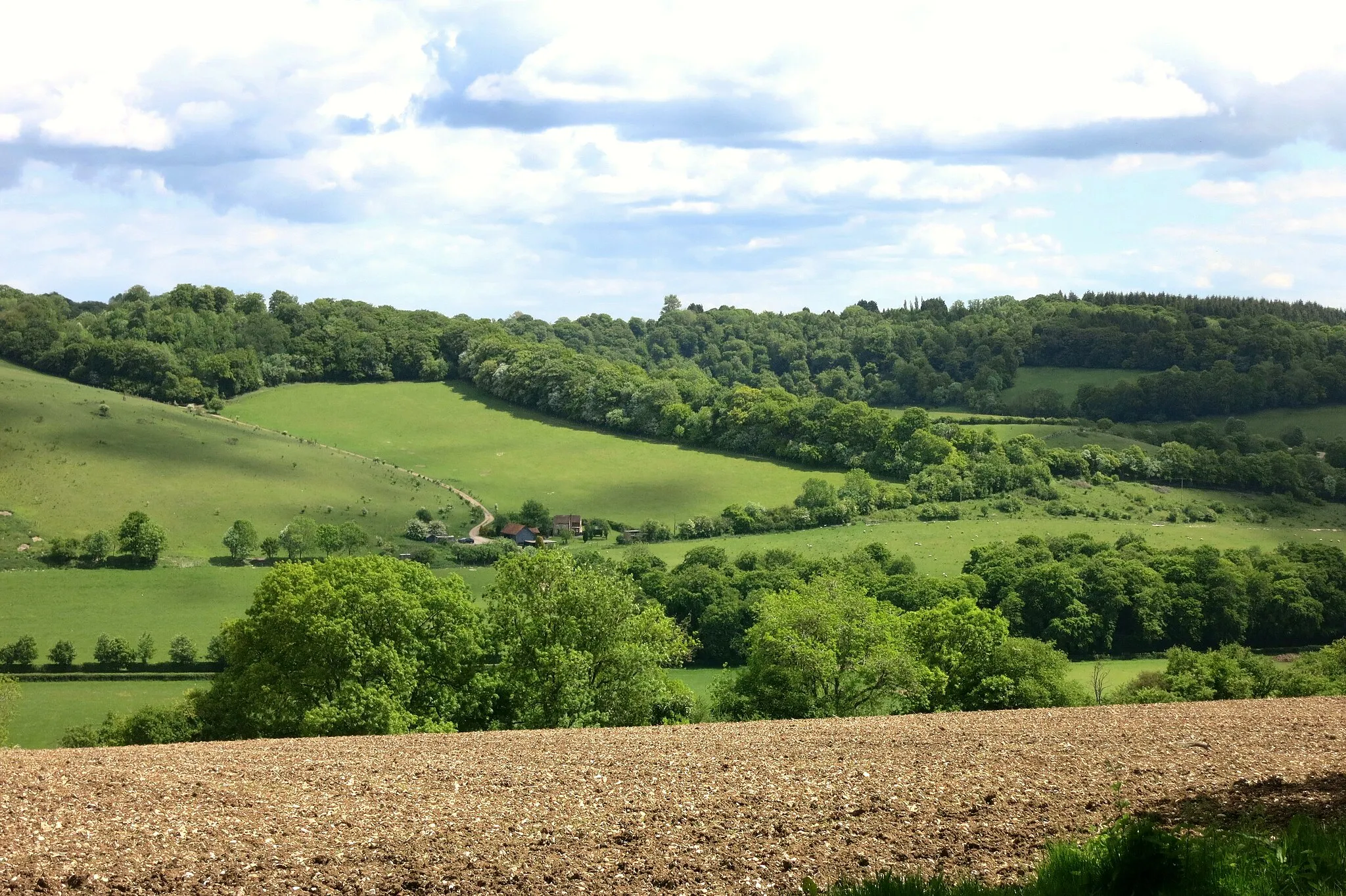 Photo showing: A Chiltern View near Turville