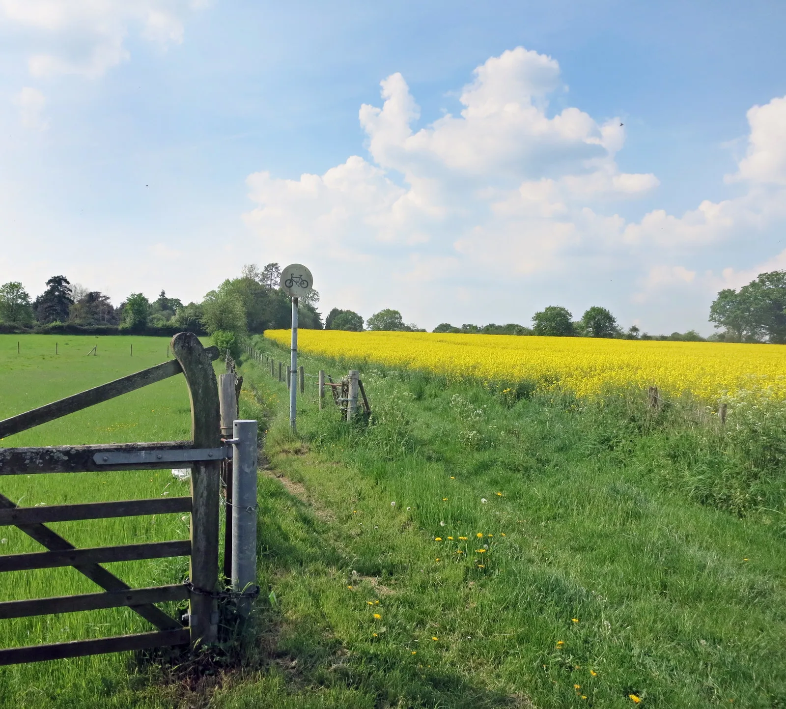 Photo showing: Footpath near Mortimer Station