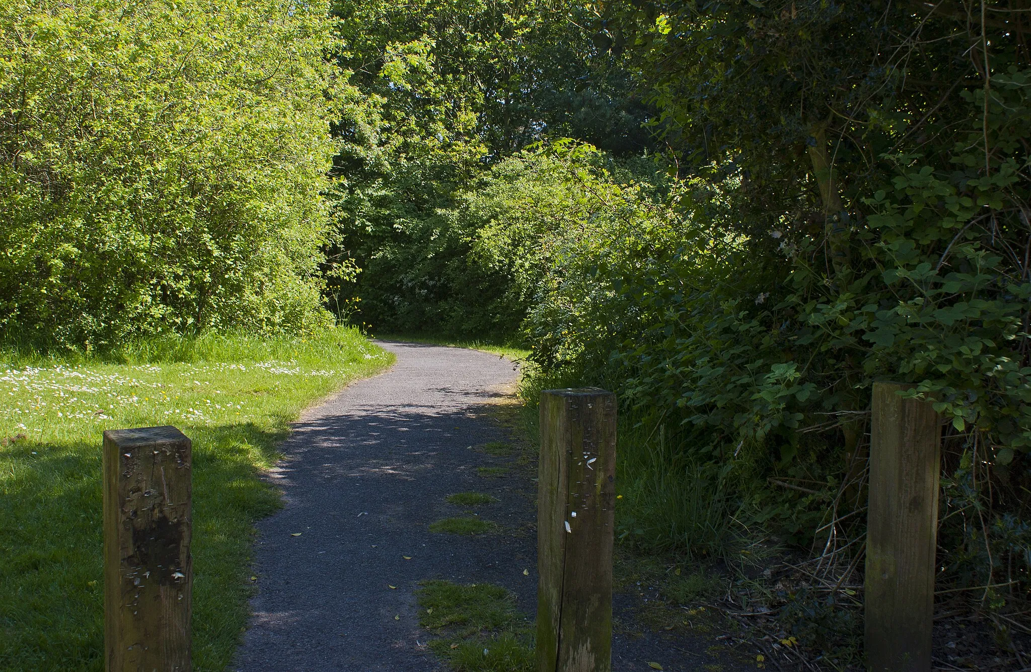 Photo showing: A footpath to explore