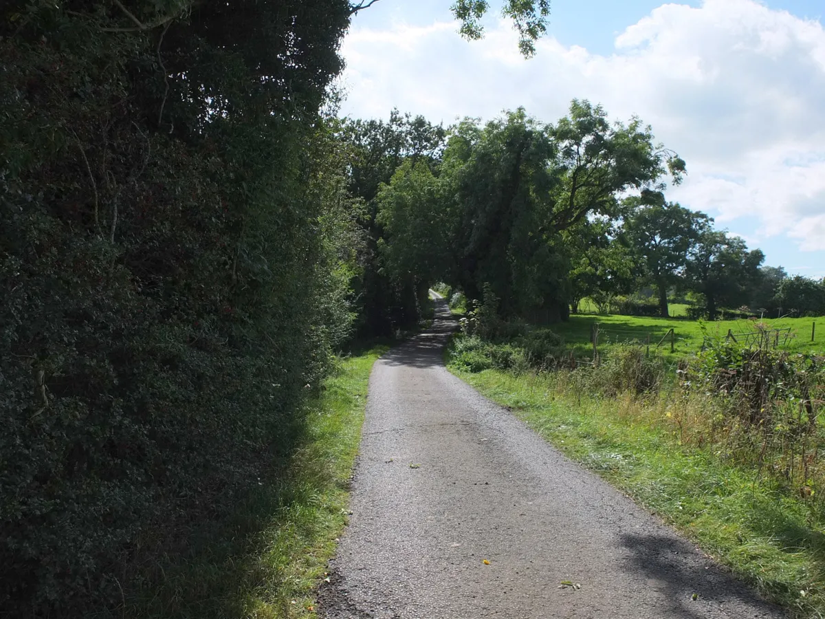 Image of Cheshire