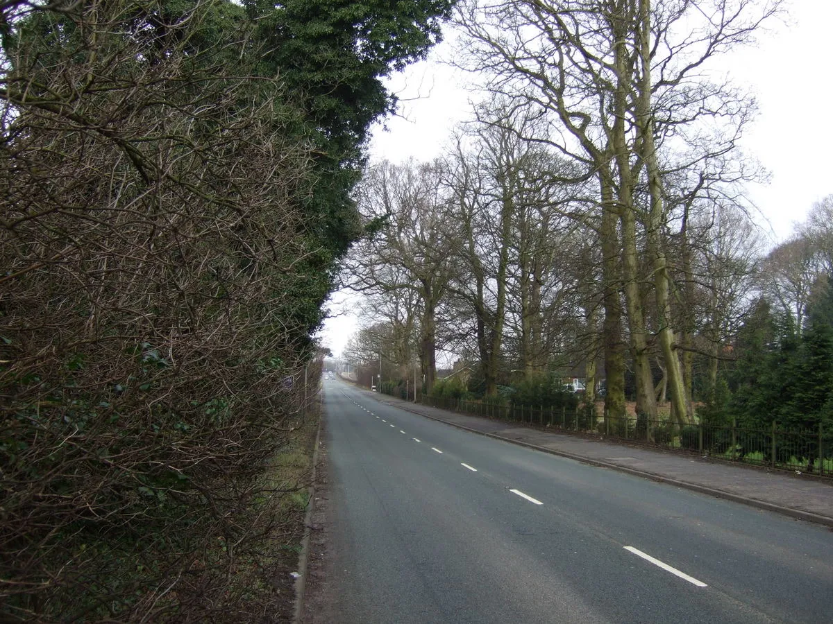 Photo showing: Newton Road (A49)