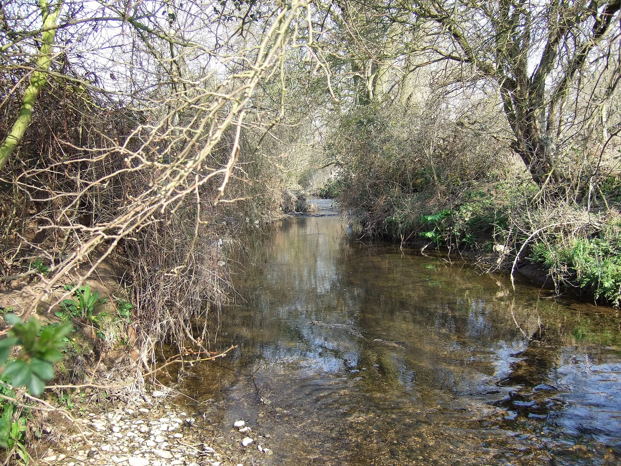Photo showing: Picture of Kingston Brook at East Leake Nottinghamshire. Picture taken by author John Beniston.