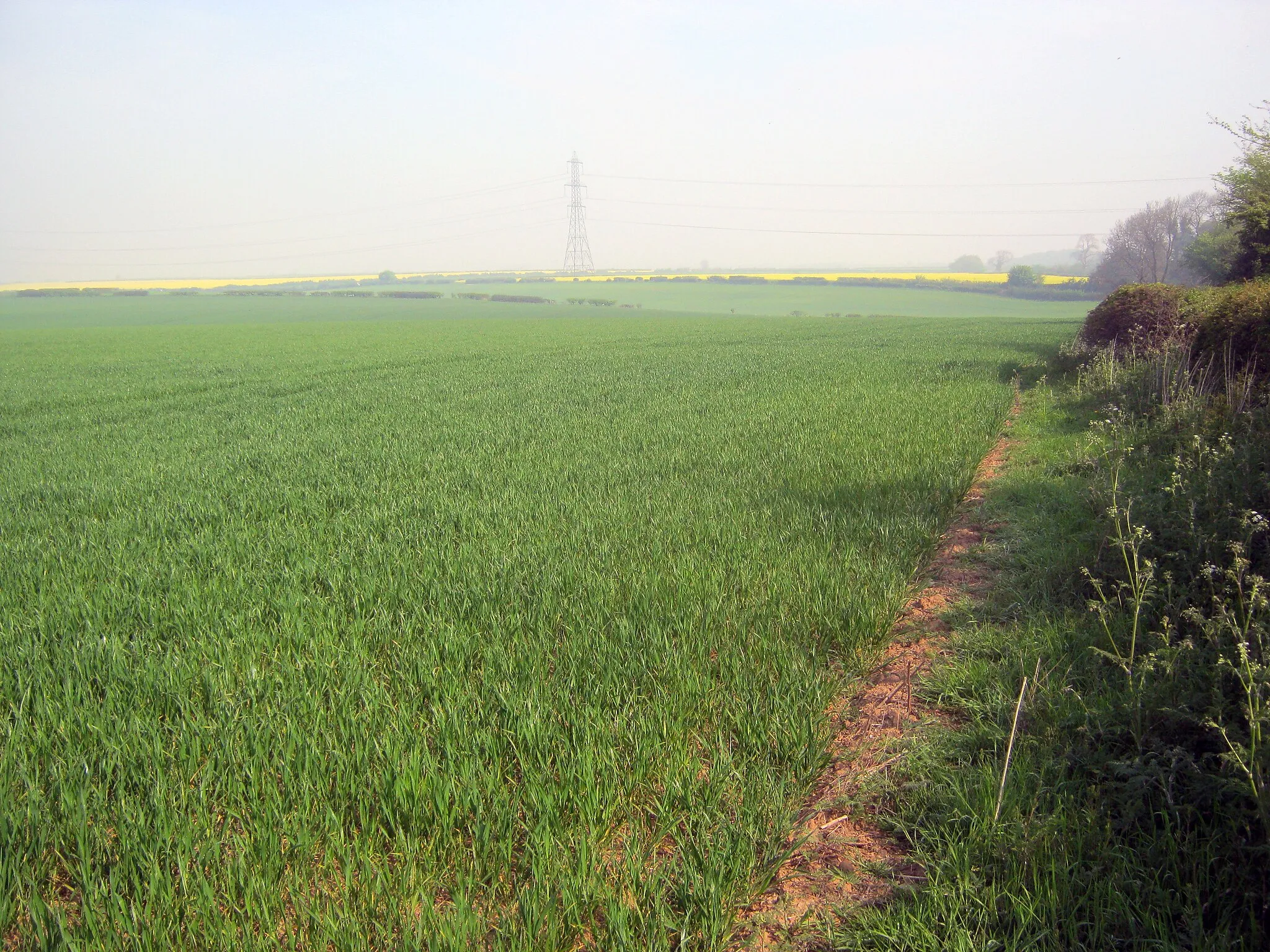 Photo showing: Arable land north of Glapwell
