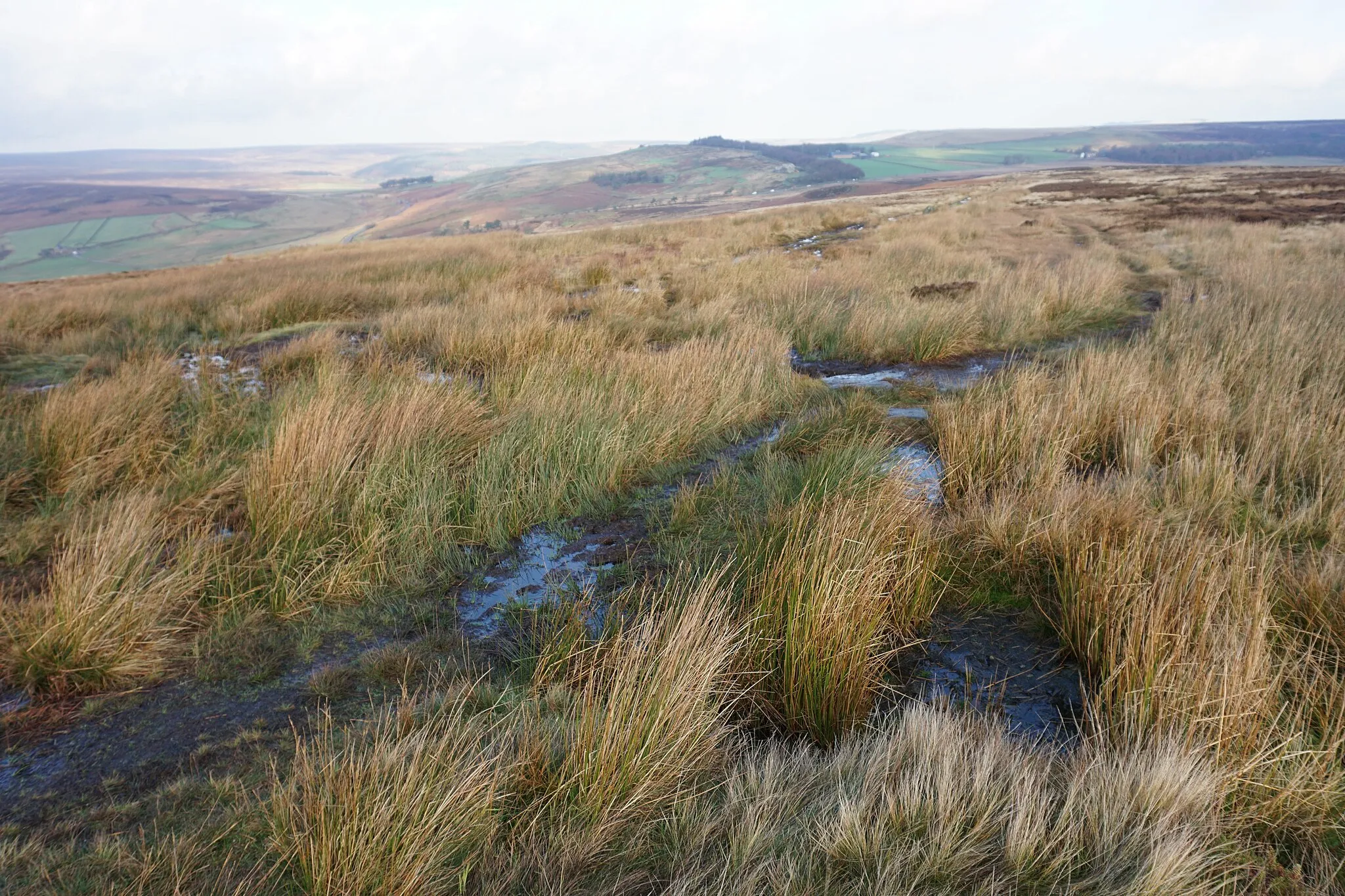 Photo showing: A boggy bit below Stanage End