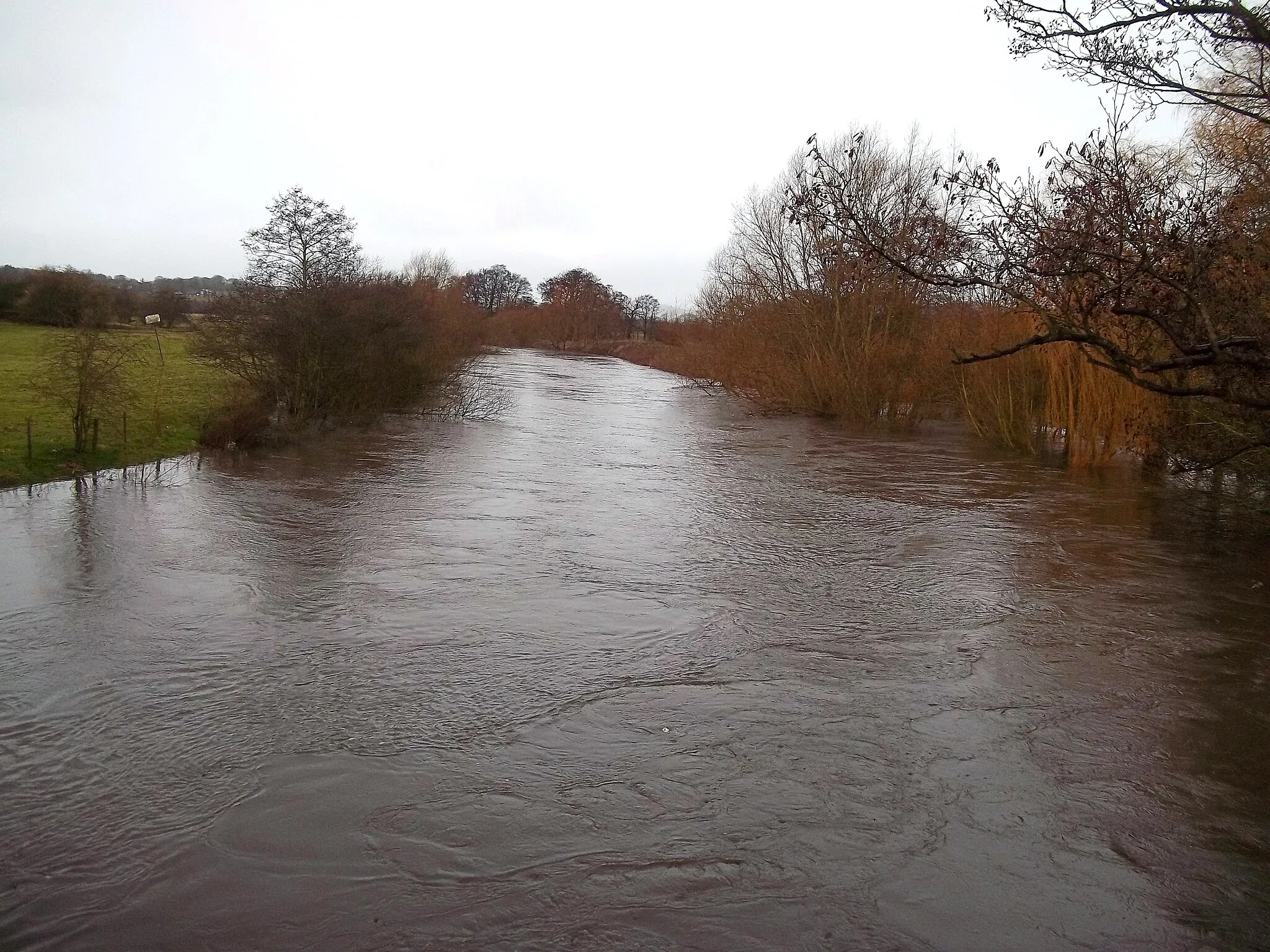 Photo showing: A Swollen River Derwent from Allestree Ford Bridge