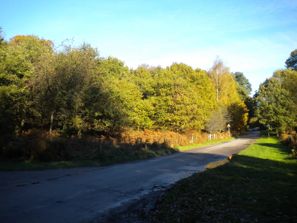 Photo showing: Access road to Newstead Abbey