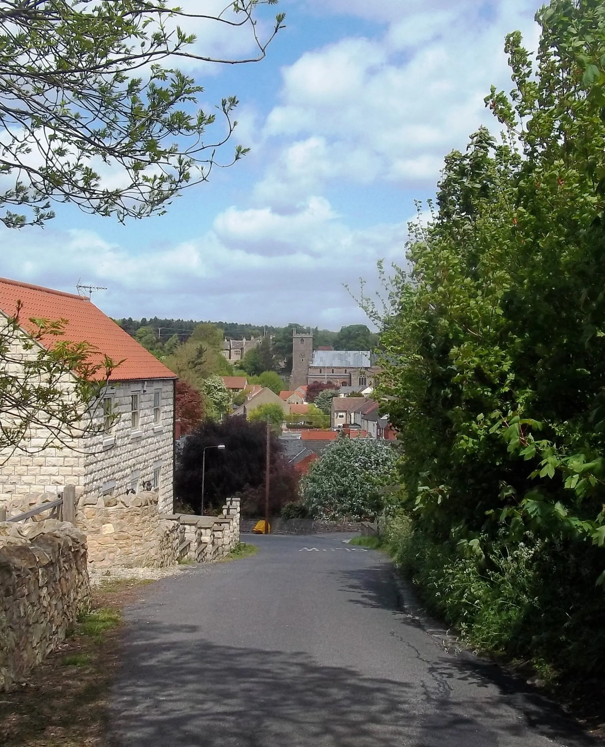 Photo showing: Hillside in Whitwell