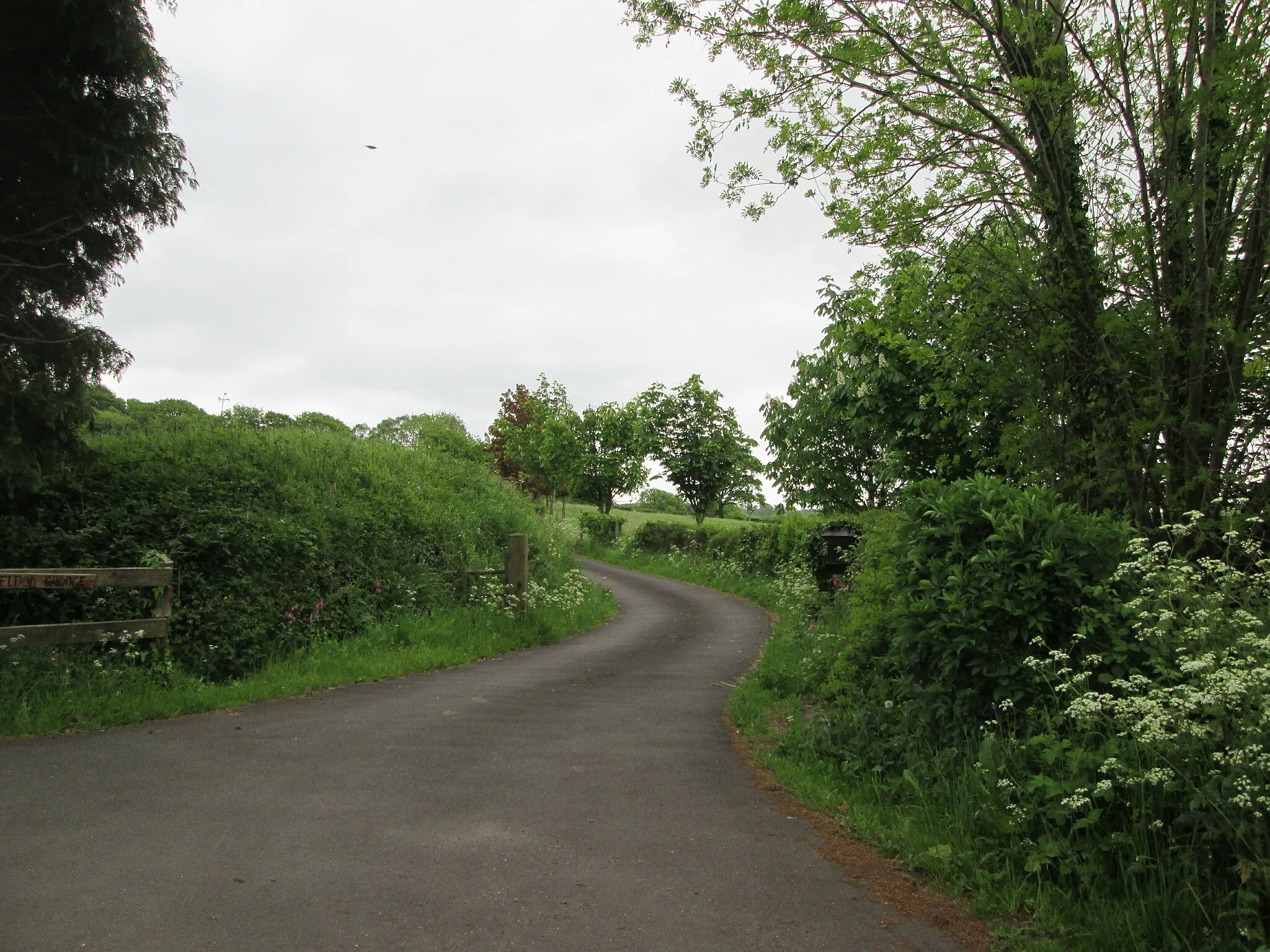 Photo showing: Access  road  to  Lower  Sheldon  Grange