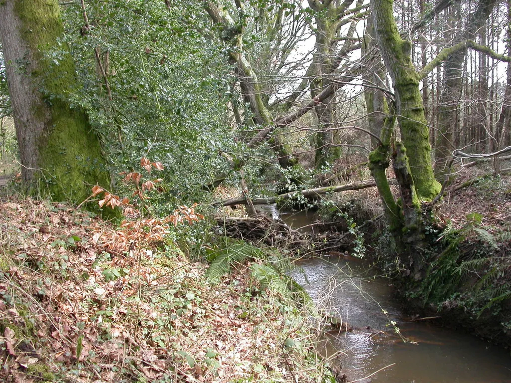Photo showing: Ameysford, Uddens Water