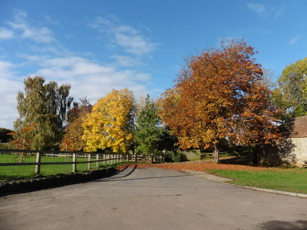 Photo showing: Autumn colour at Merriott