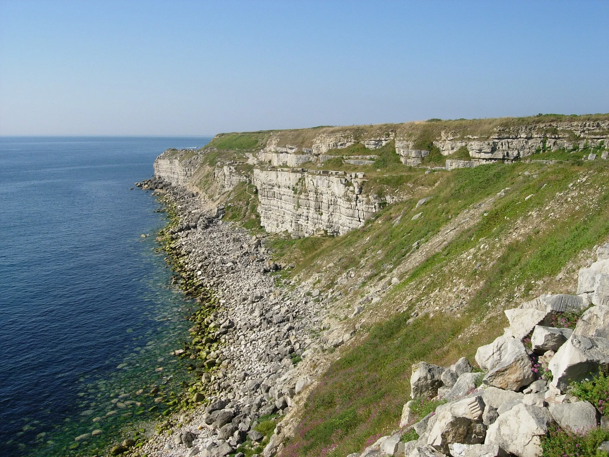 Image of Dorset and Somerset