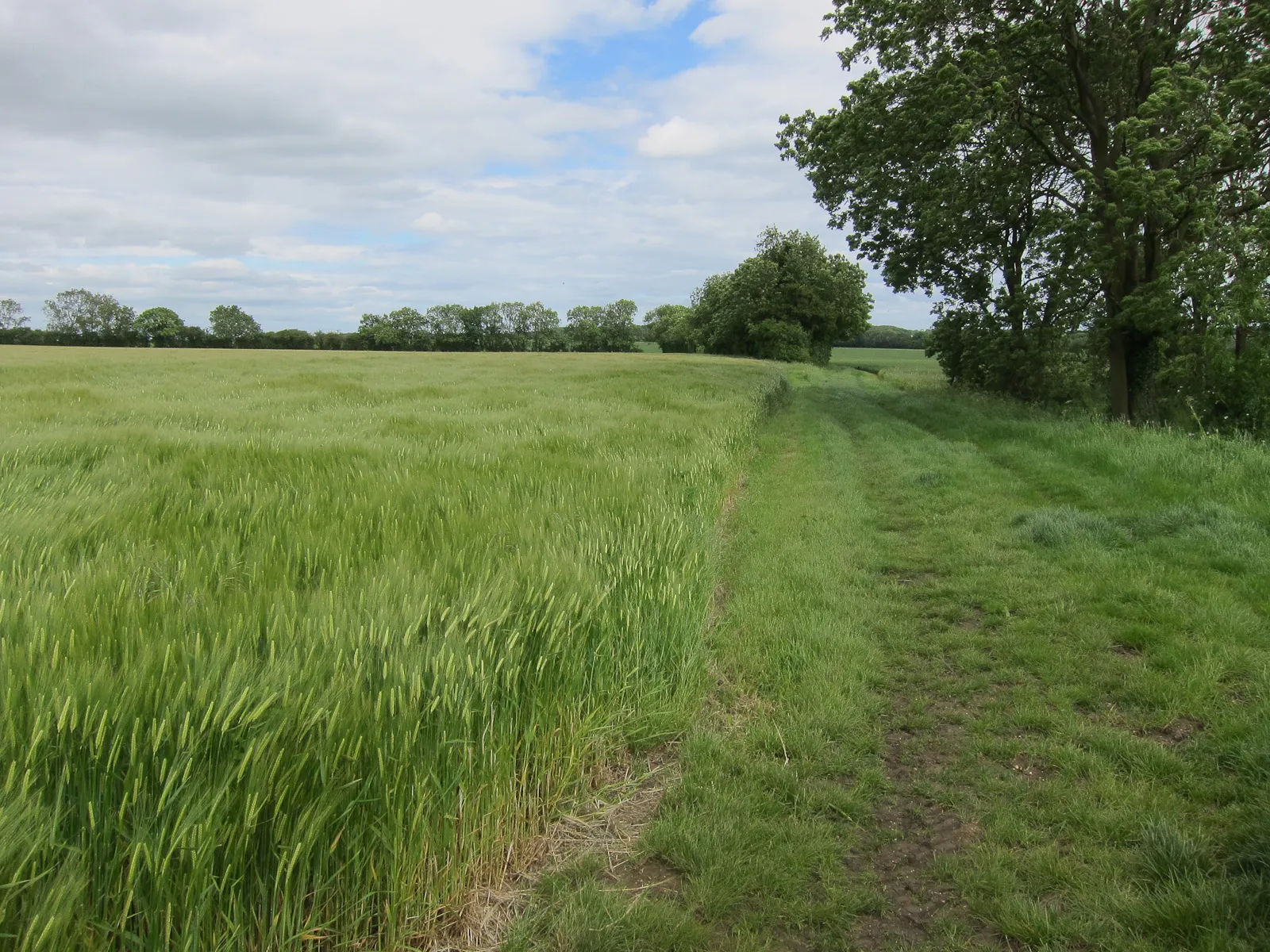 Image of East Anglia