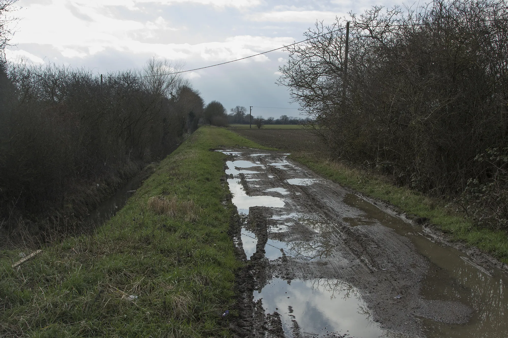 Photo showing: A muddy farm track