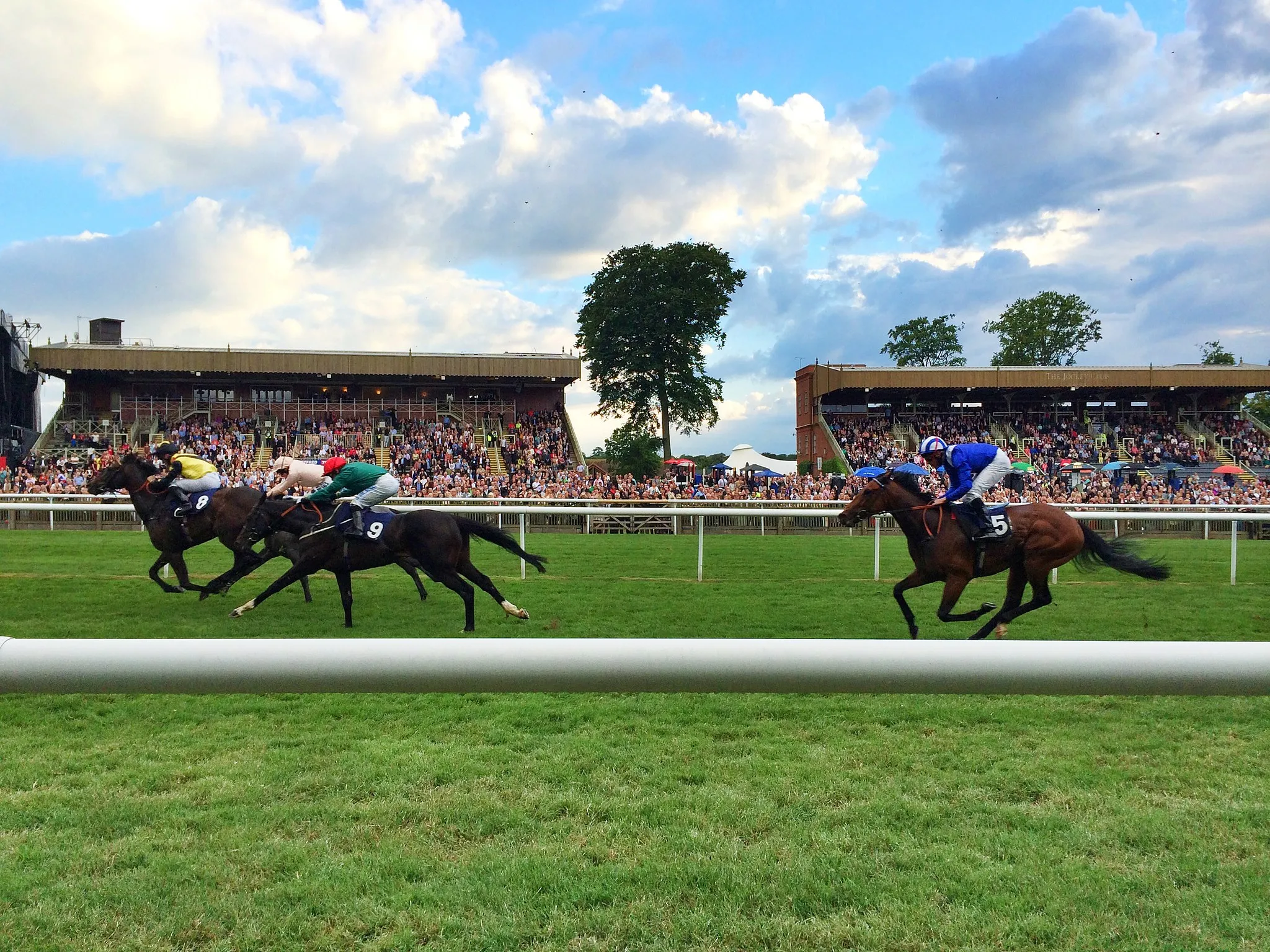 Photo showing: Tarrafal (9), Pactolus (8) and Iftaar (5)
2014 Newmarket July