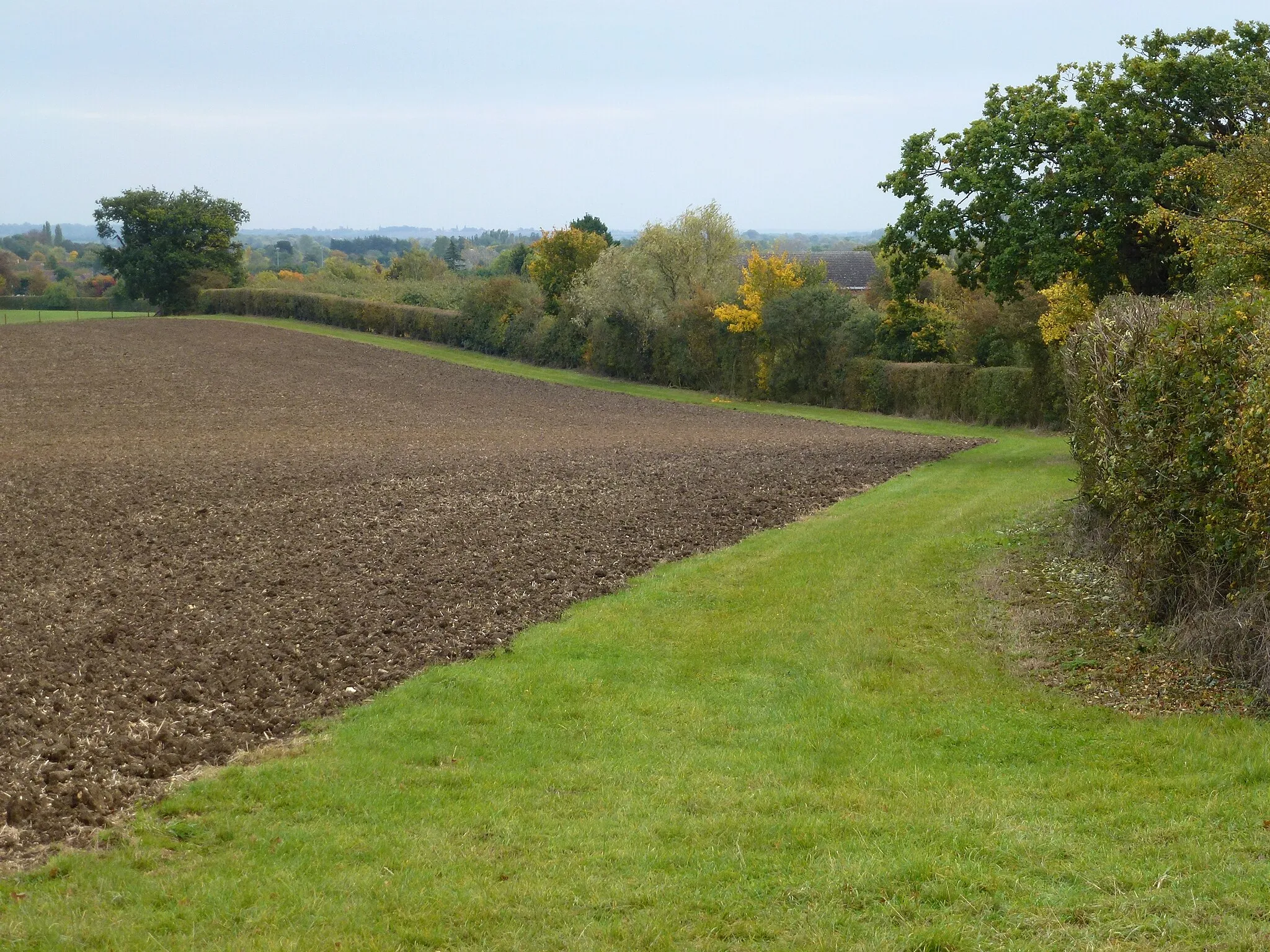 Photo showing: A view from Gypsy Lane near Somersham