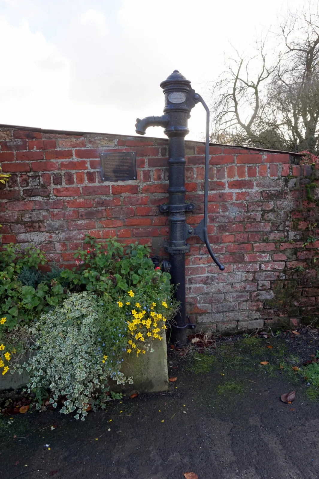 Photo showing: Village Water Pump