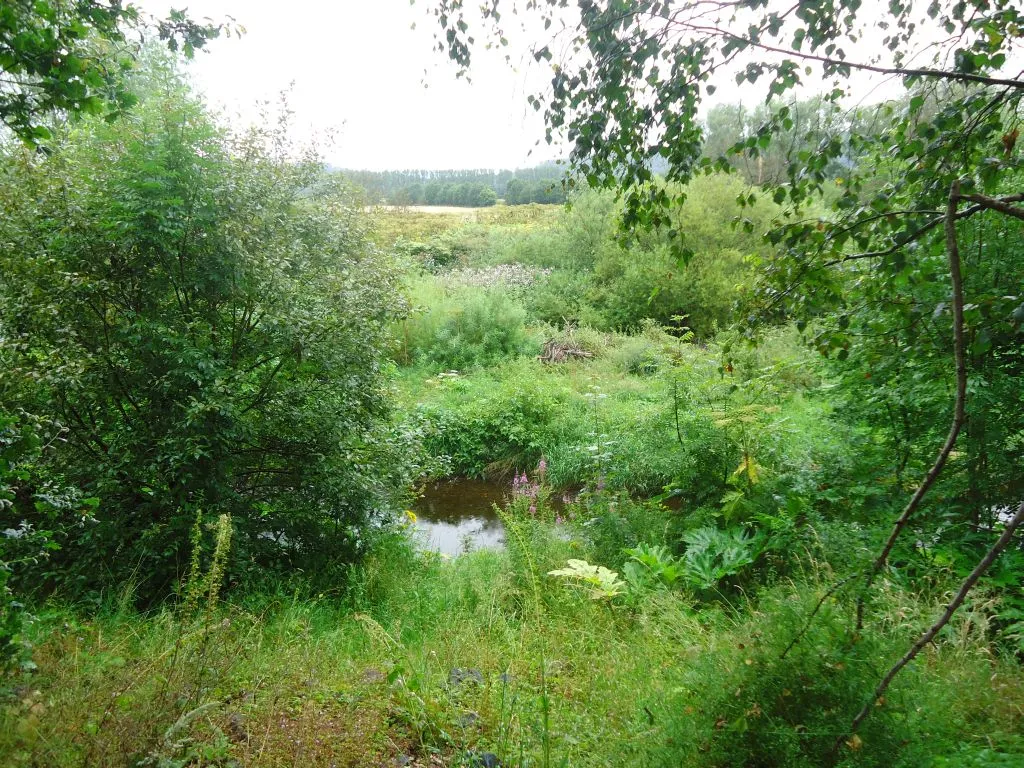 Image of Eastern Scotland