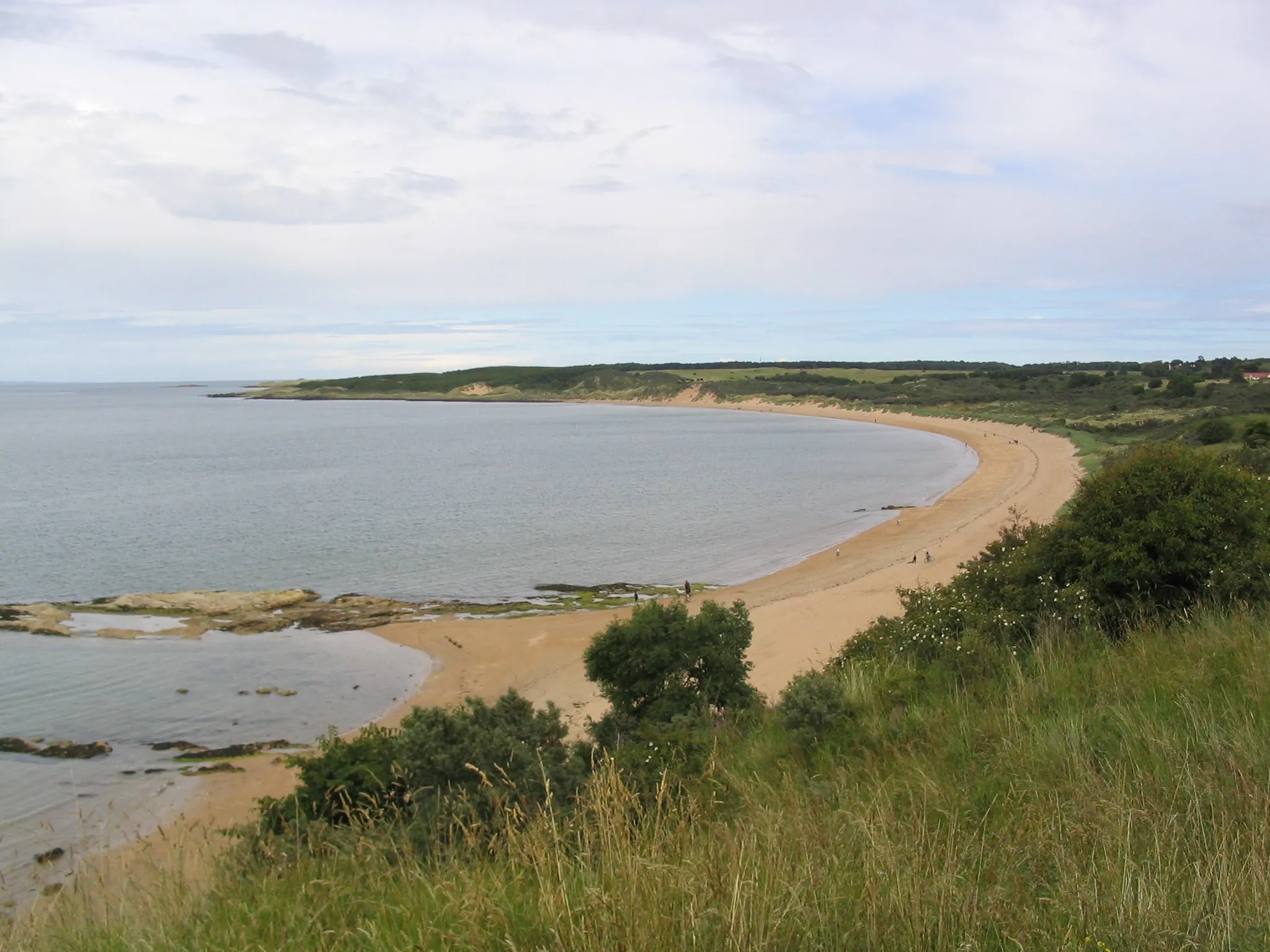 Photo showing: Photograph of Gullane Beach from near the 7th tee of Gullane Number 1 Golf Course, taken by myself (Martin Taylor) July 12 2004
