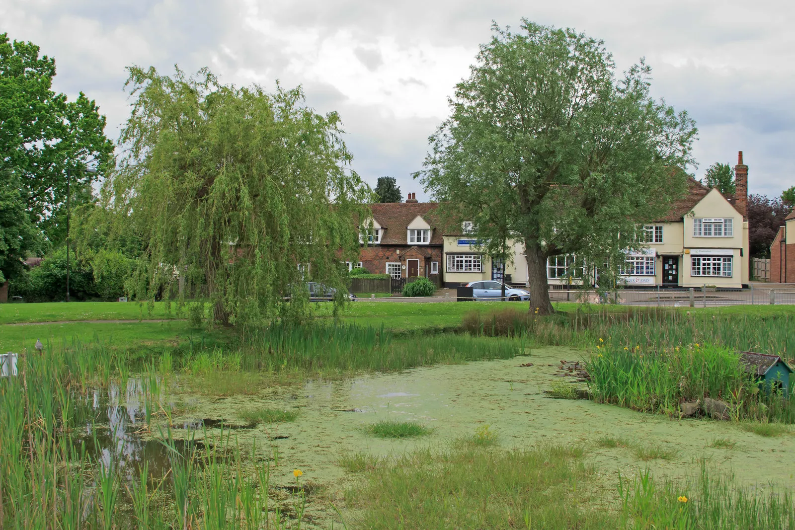 Photo showing: Pond near Eve's Corner, Danbury