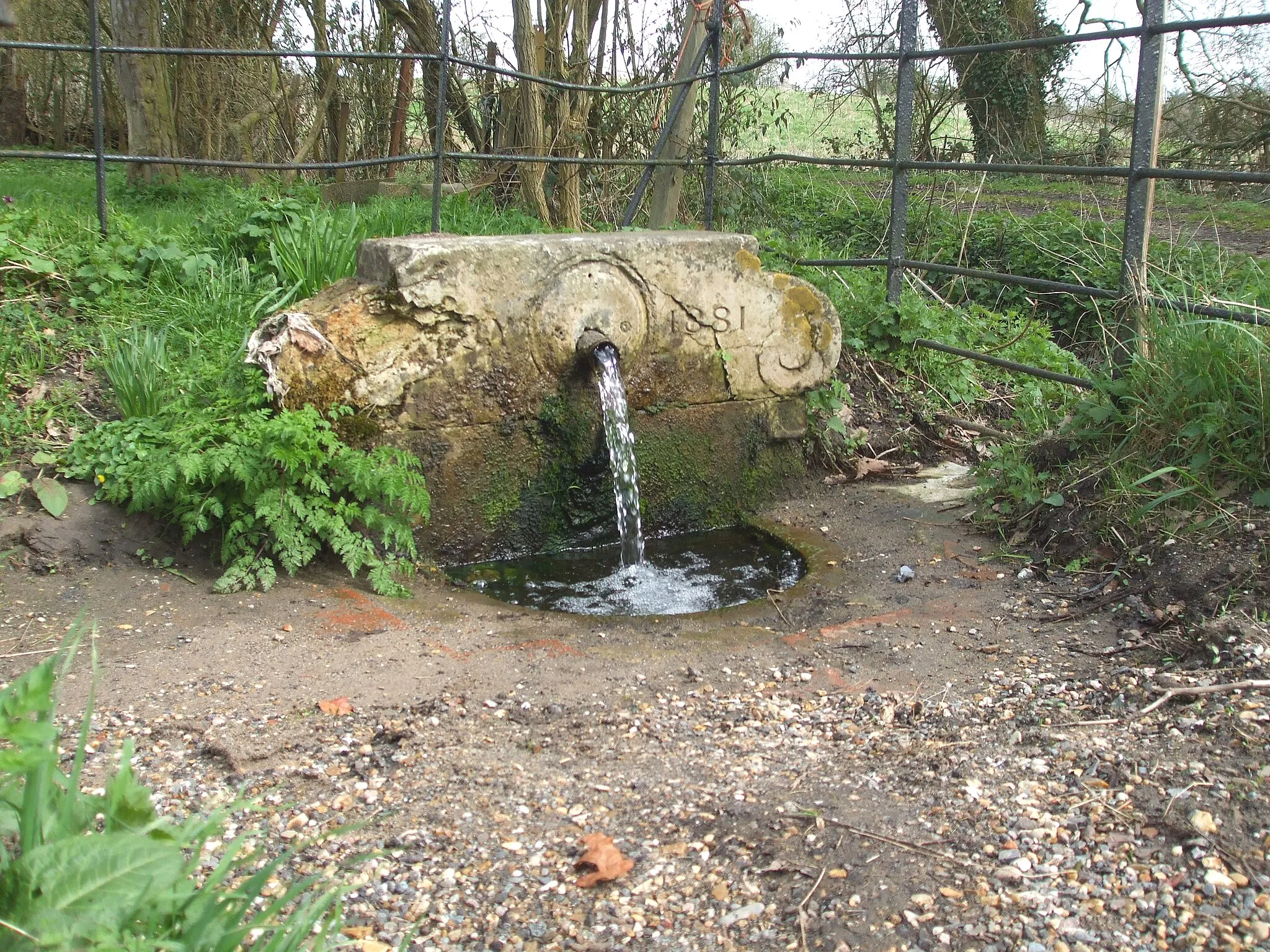 Photo showing: Spring by the side of the road (Cole Hill) Great Leighs, Essex. TL739157.