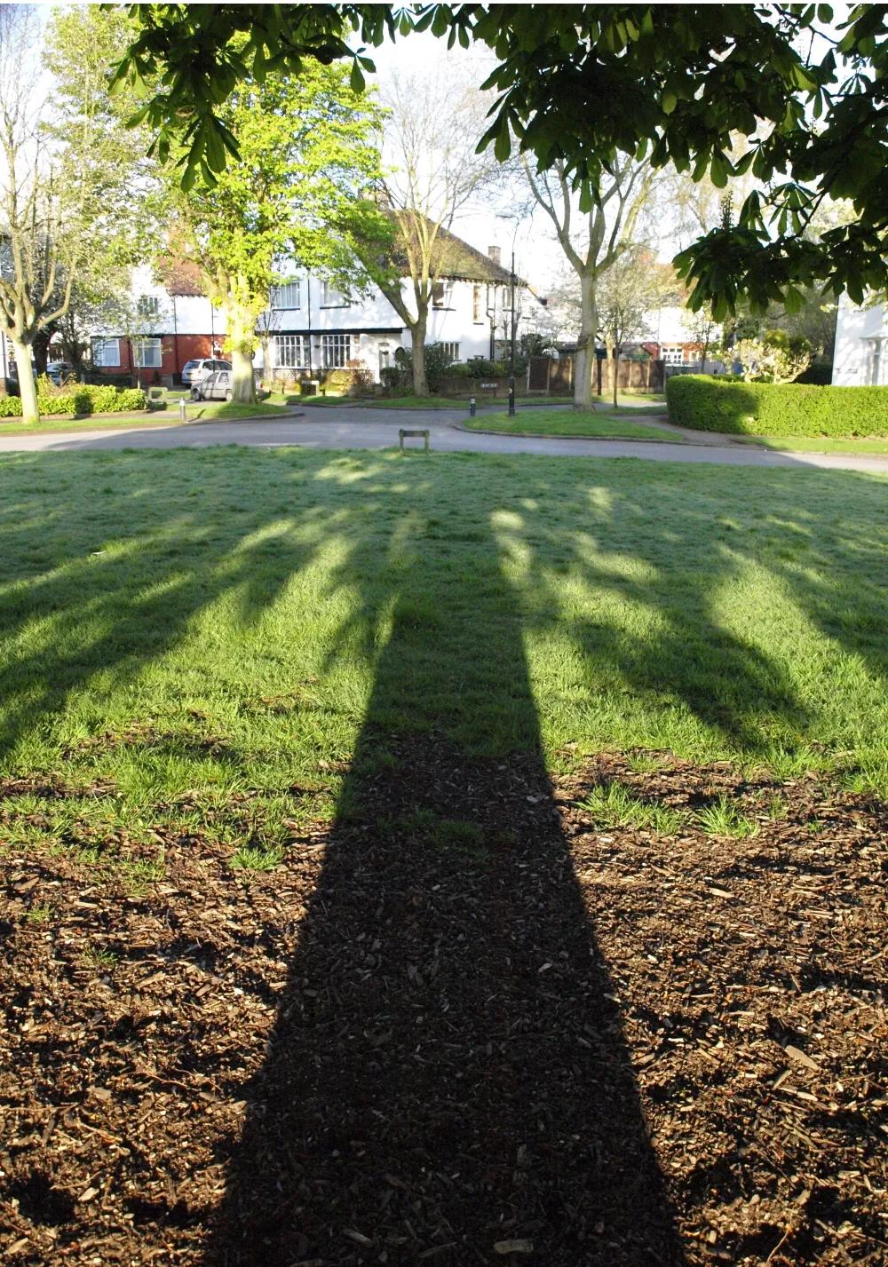 Photo showing: Shadow of the horse chestnut tree on The Meade, Chorltonville estate, Manchester, UK.