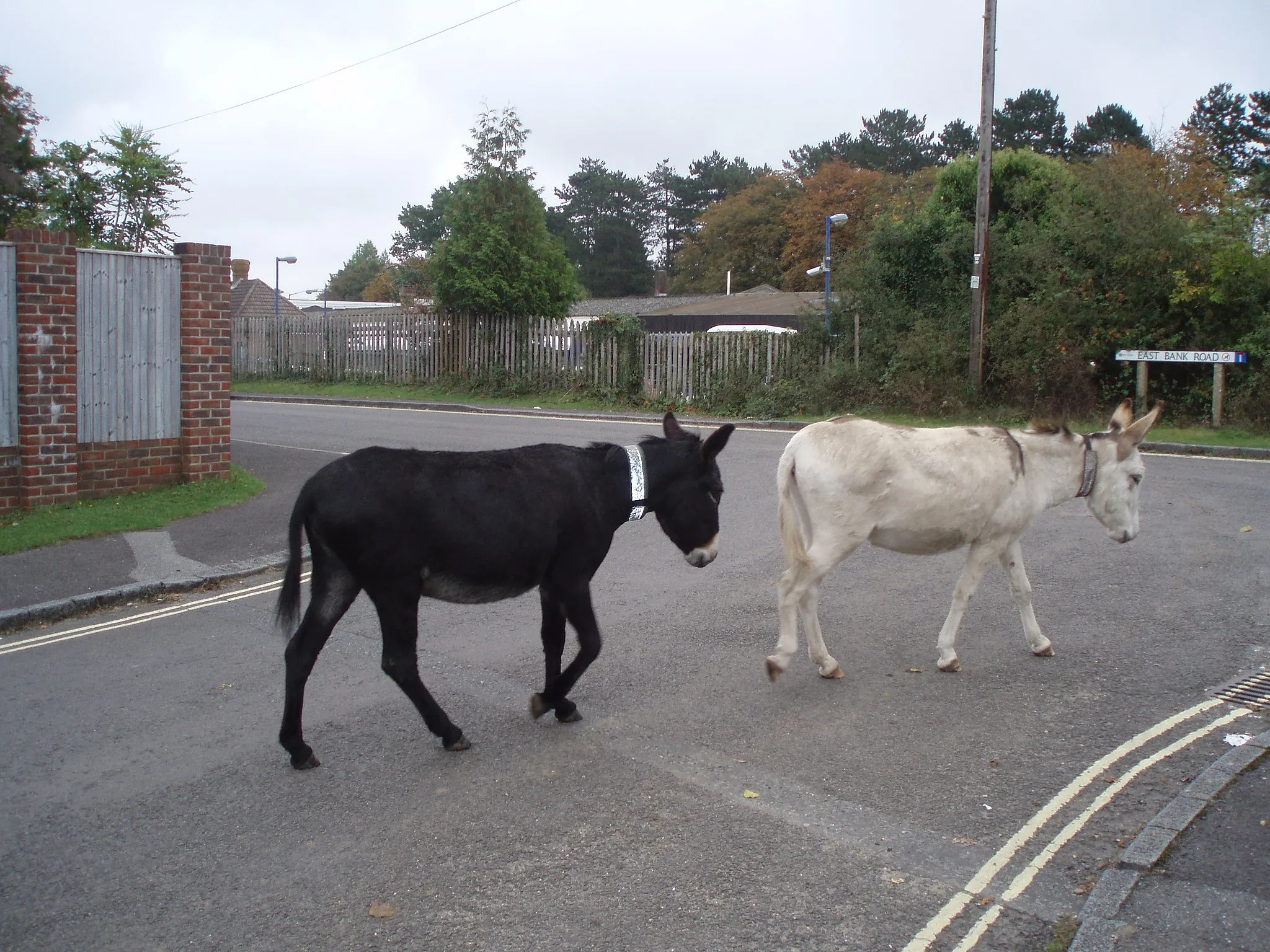 Image of Hampshire and Isle of Wight