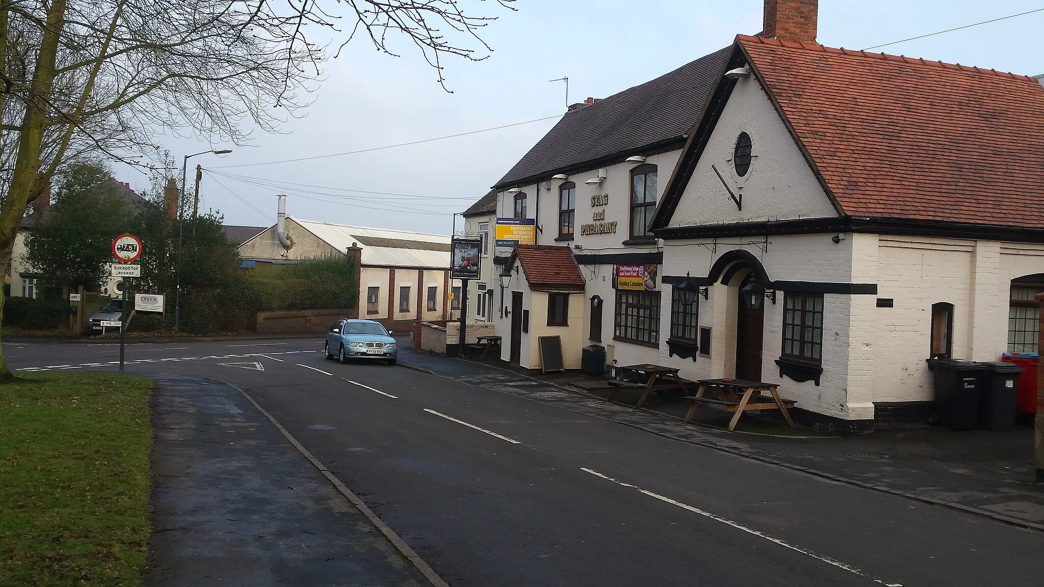 Photo showing: The Stag and Pheasant