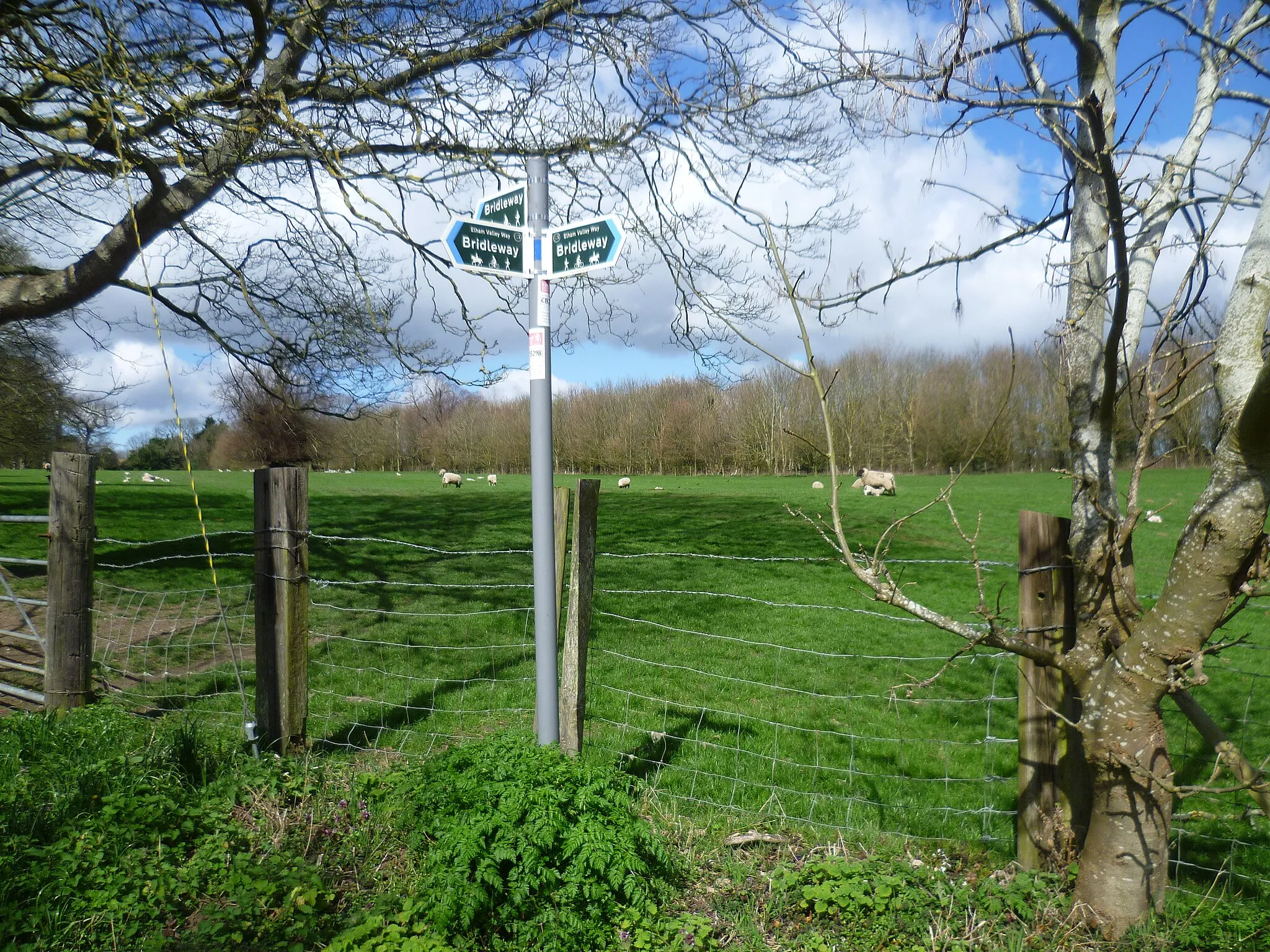 Photo showing: A meeting of bridleways near Bridge