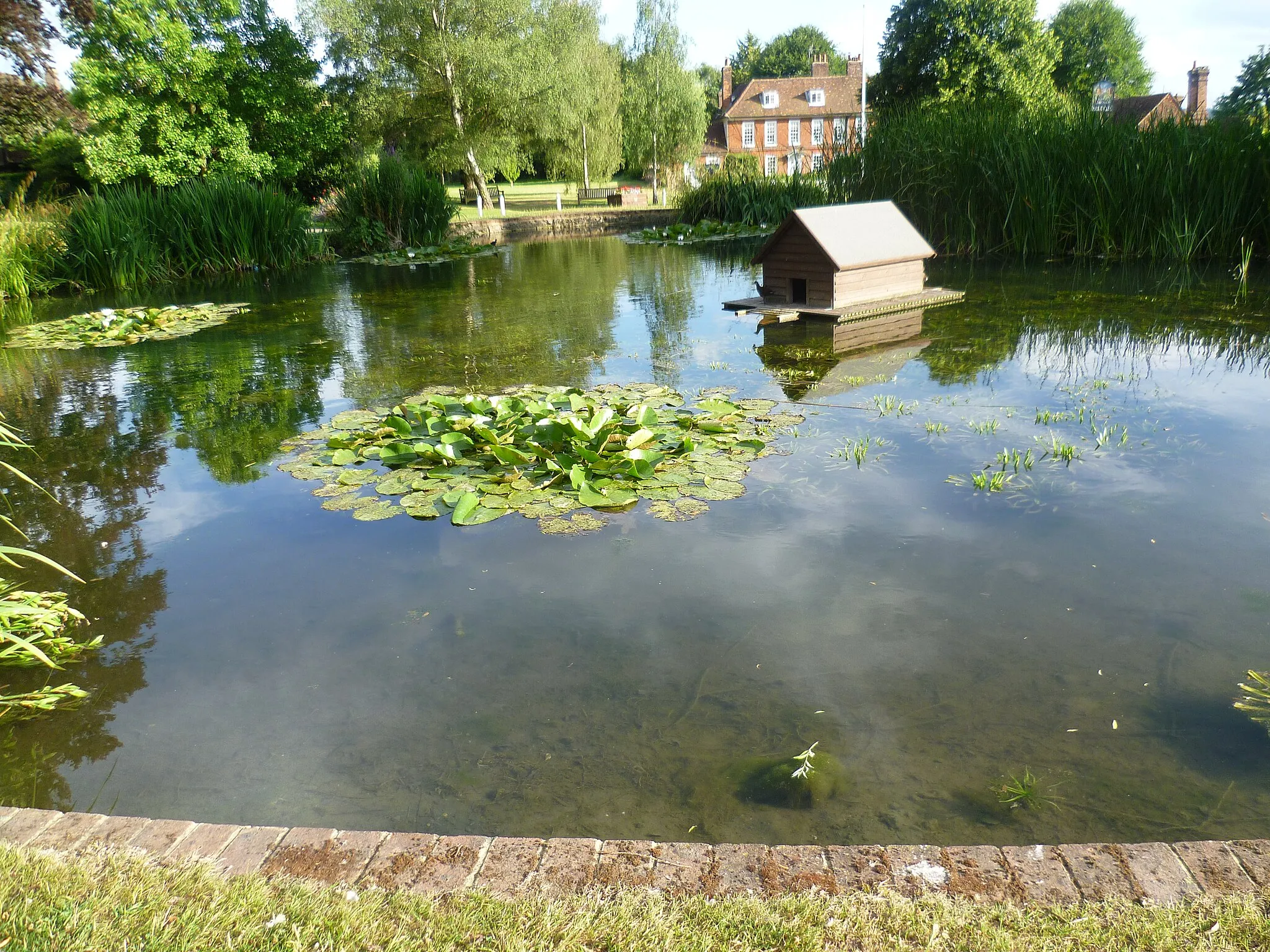 Photo showing: The duck pond at Otford