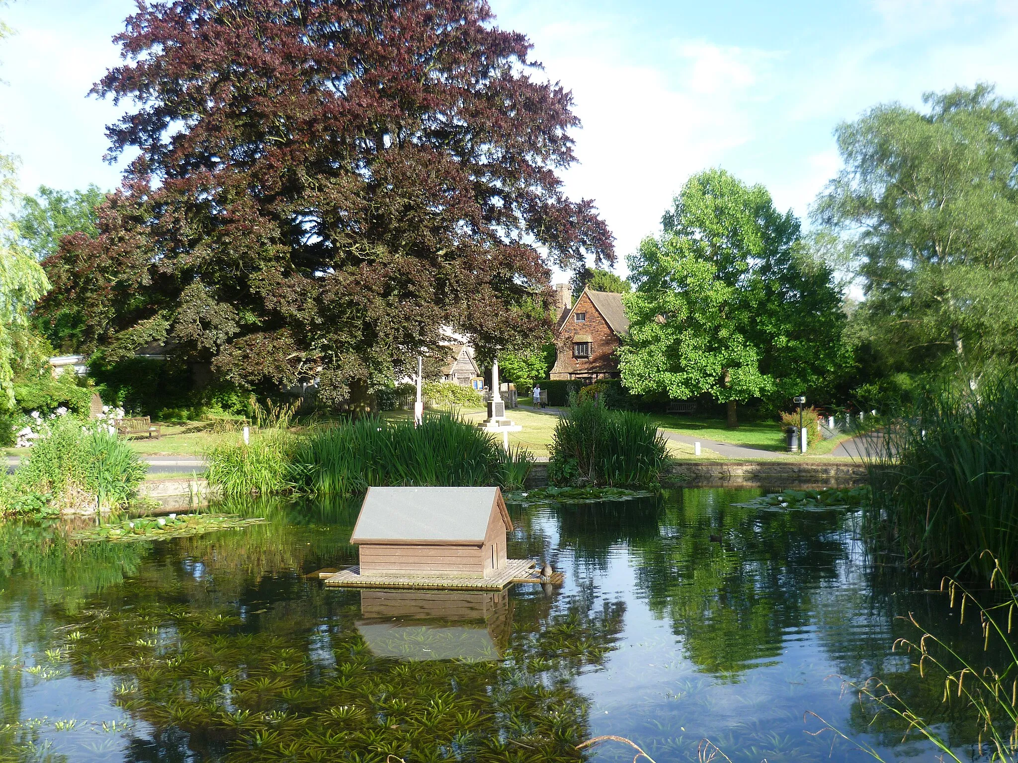 Photo showing: The duck pond at Otford
