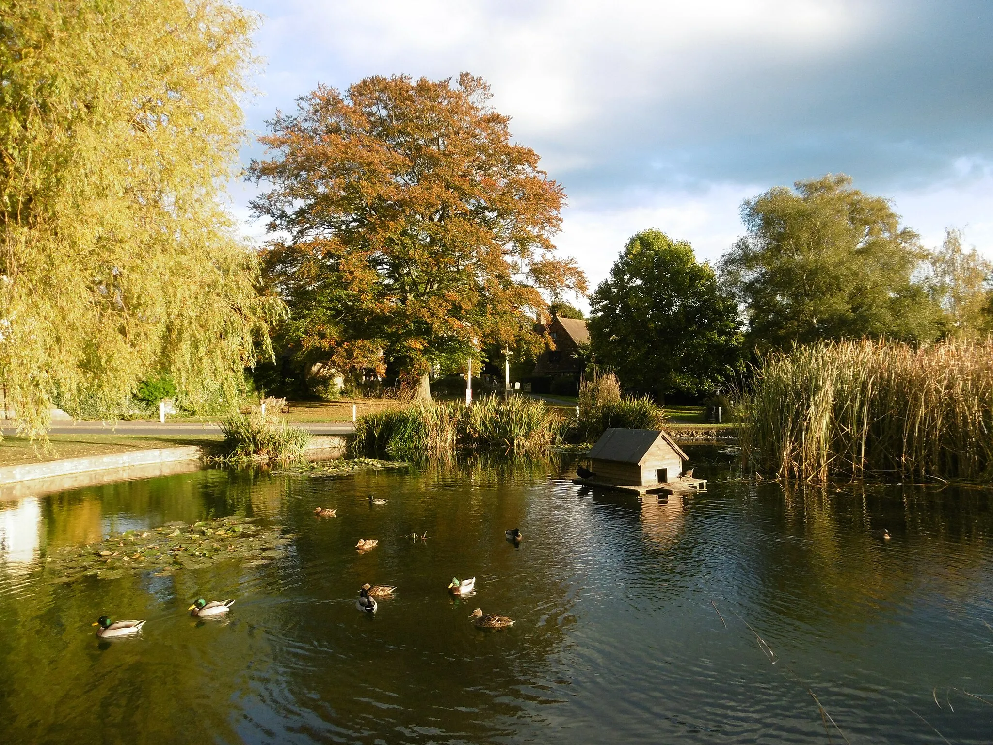 Photo showing: The duck pond at Otford