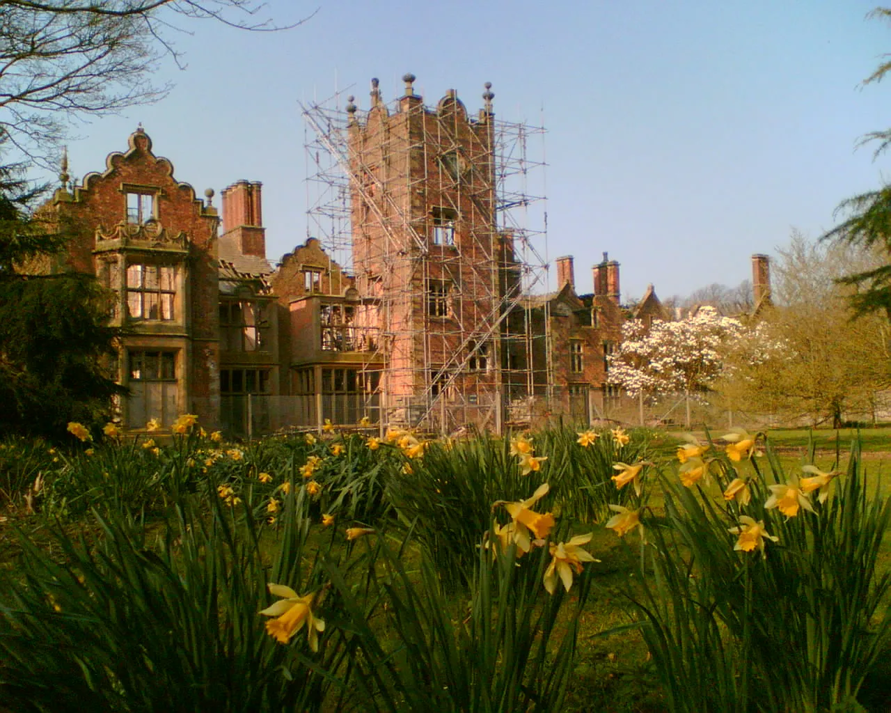 Photo showing: Some of the Daffodils that grow at Bank Hall