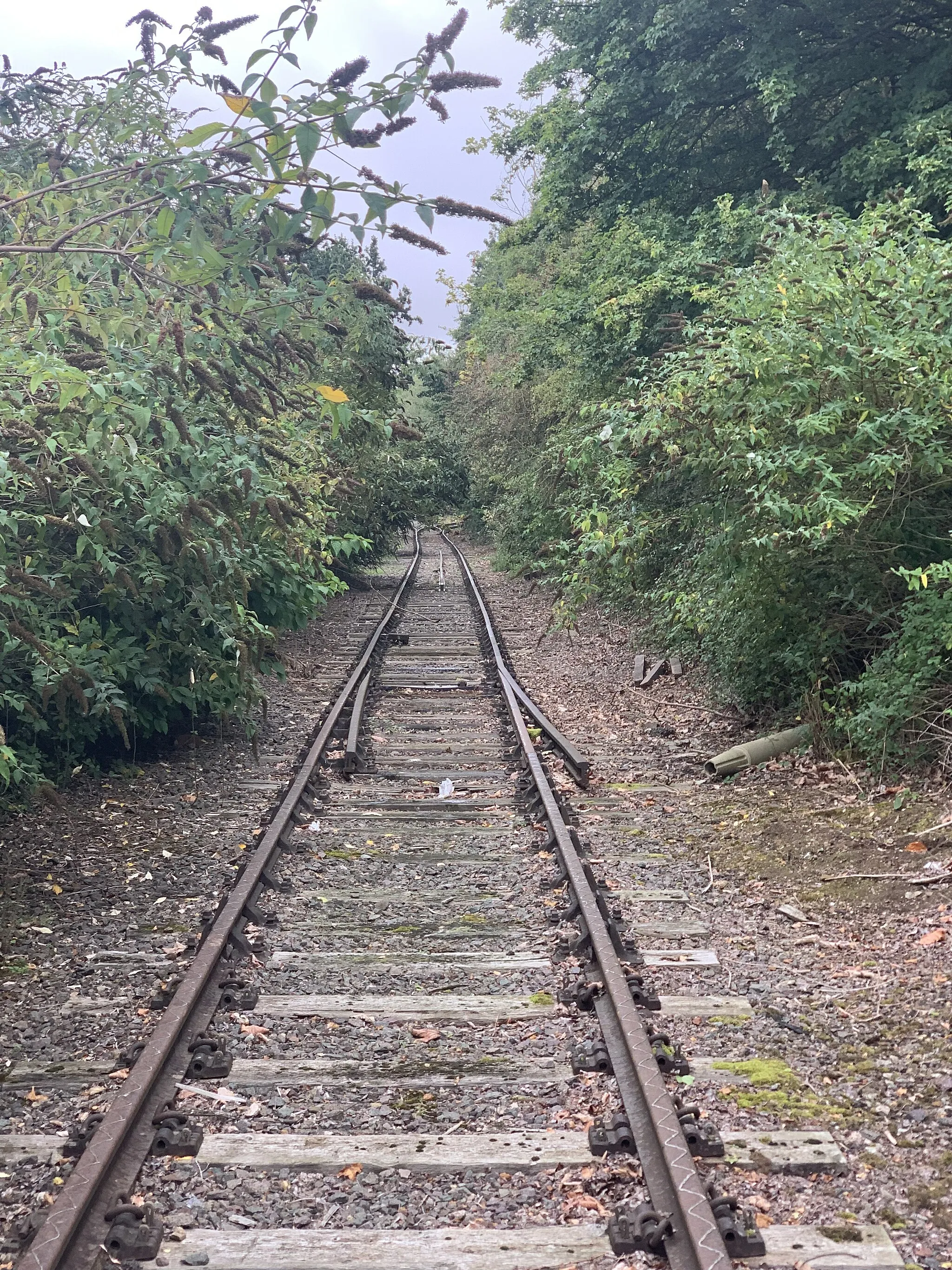 Photo showing: A single track railway located in Brackmills, Hardingstone, UK surrounded by bushes