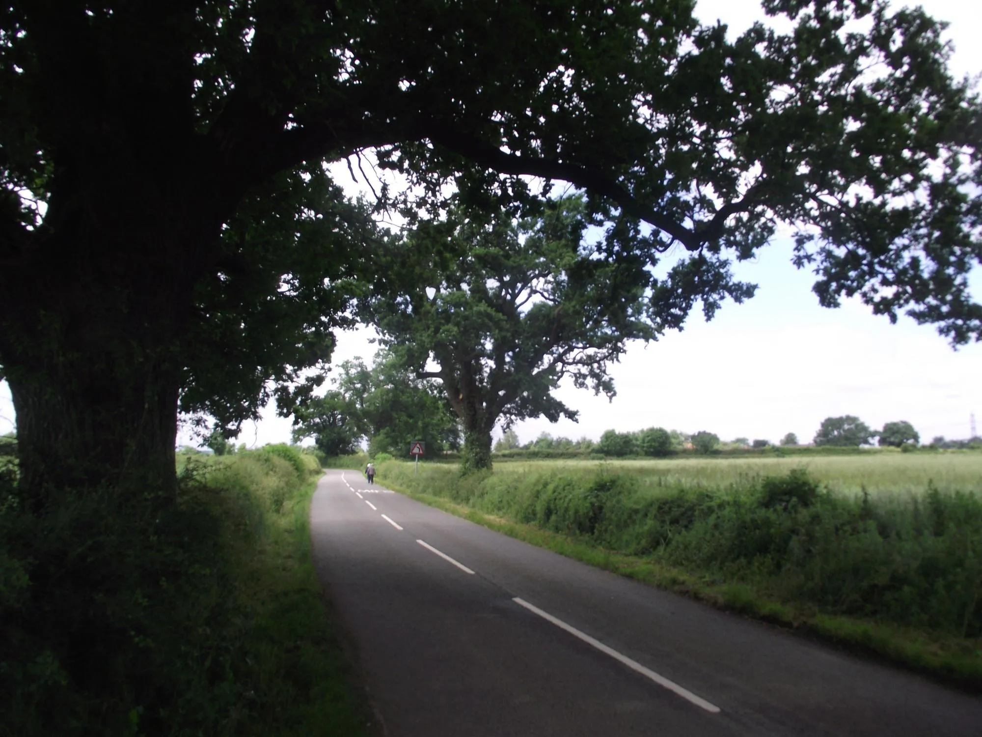 Image of Leicestershire, Rutland and Northamptonshire