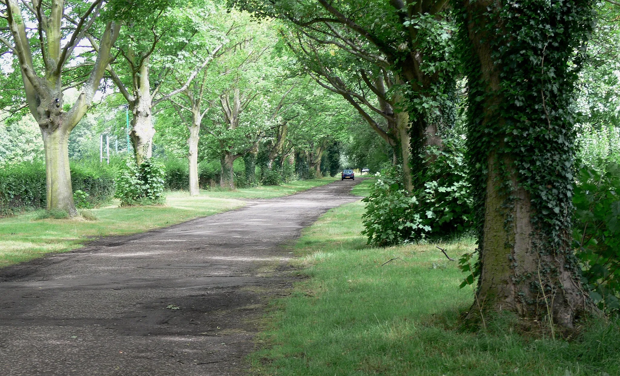 Photo showing: Southmeads Road in Oadby