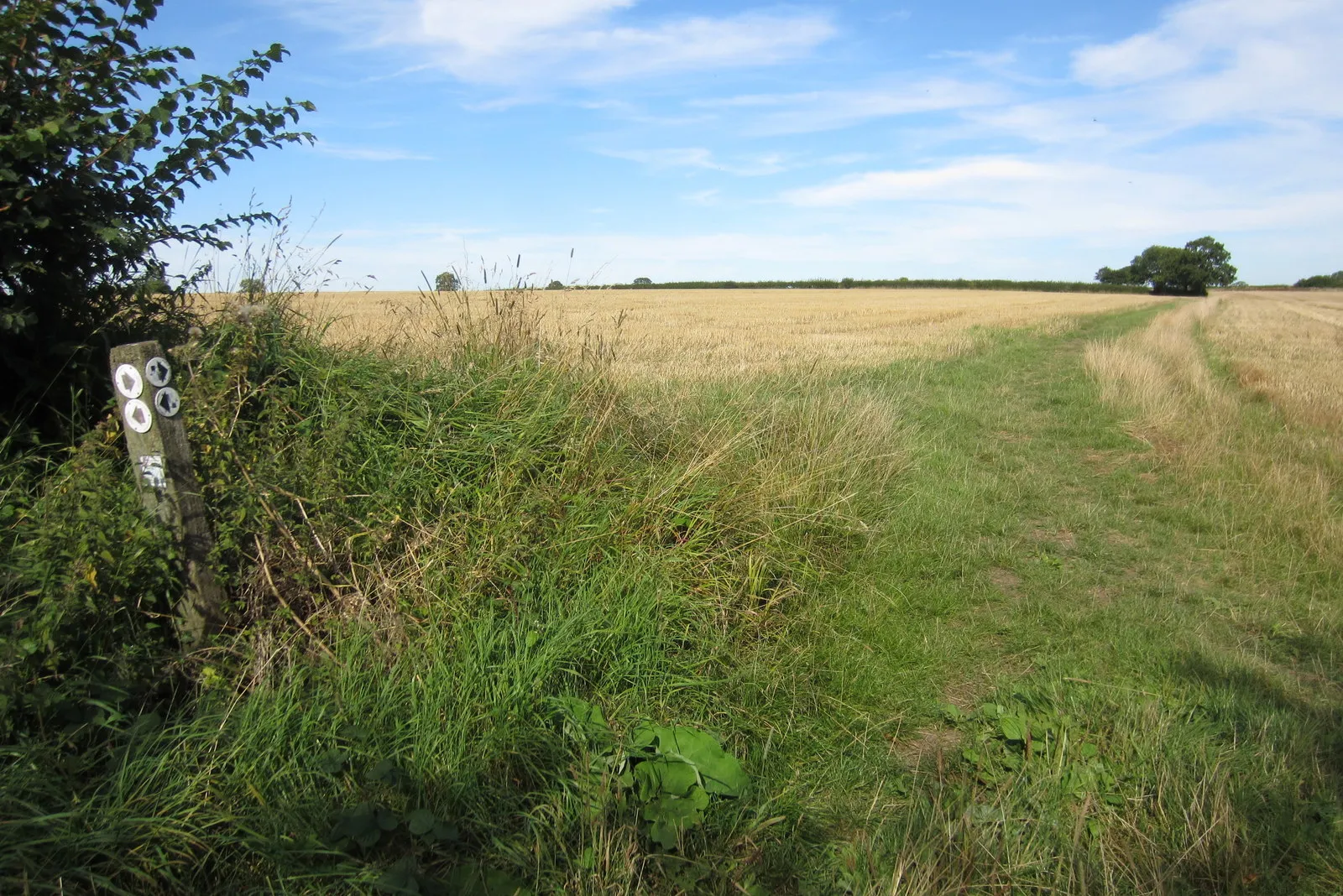 Photo showing: Bridleway towards Ashwood Farm